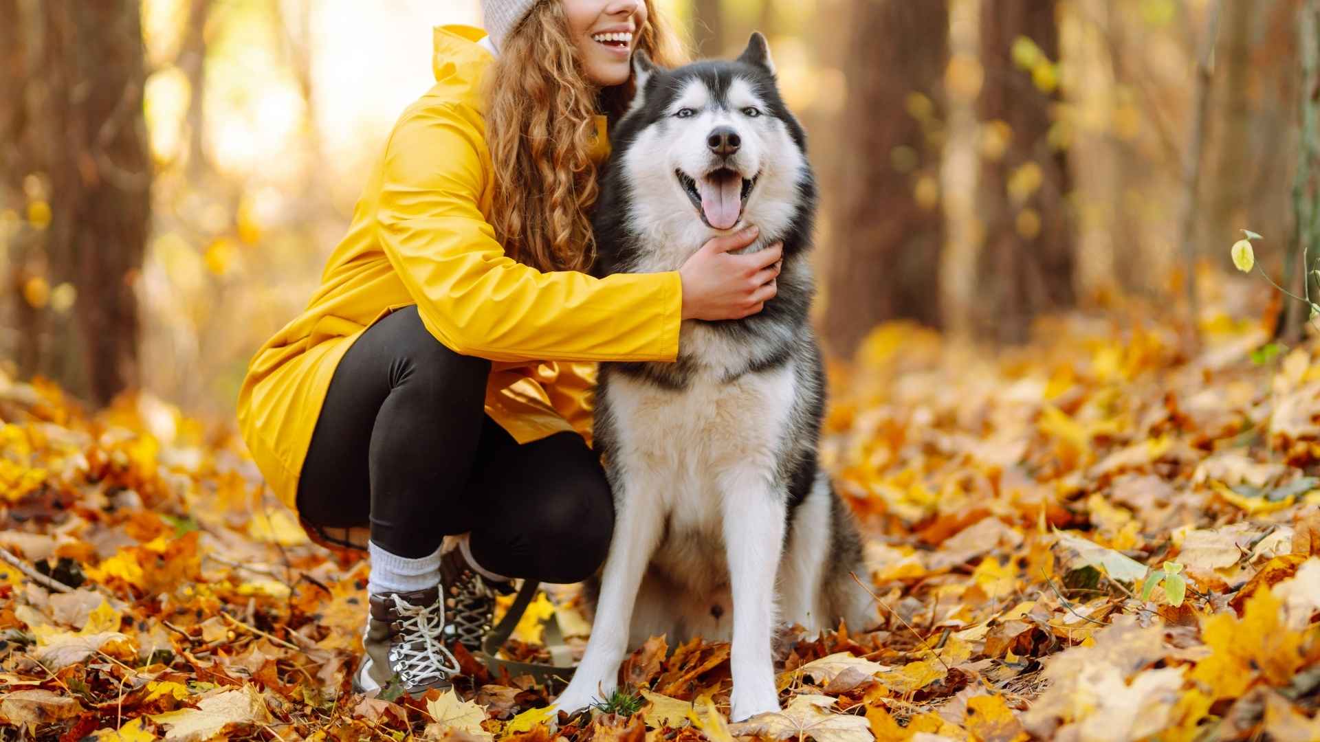 9 Dog Breeds That Are Happiest Outdoors Born to Run, Roam, and Love