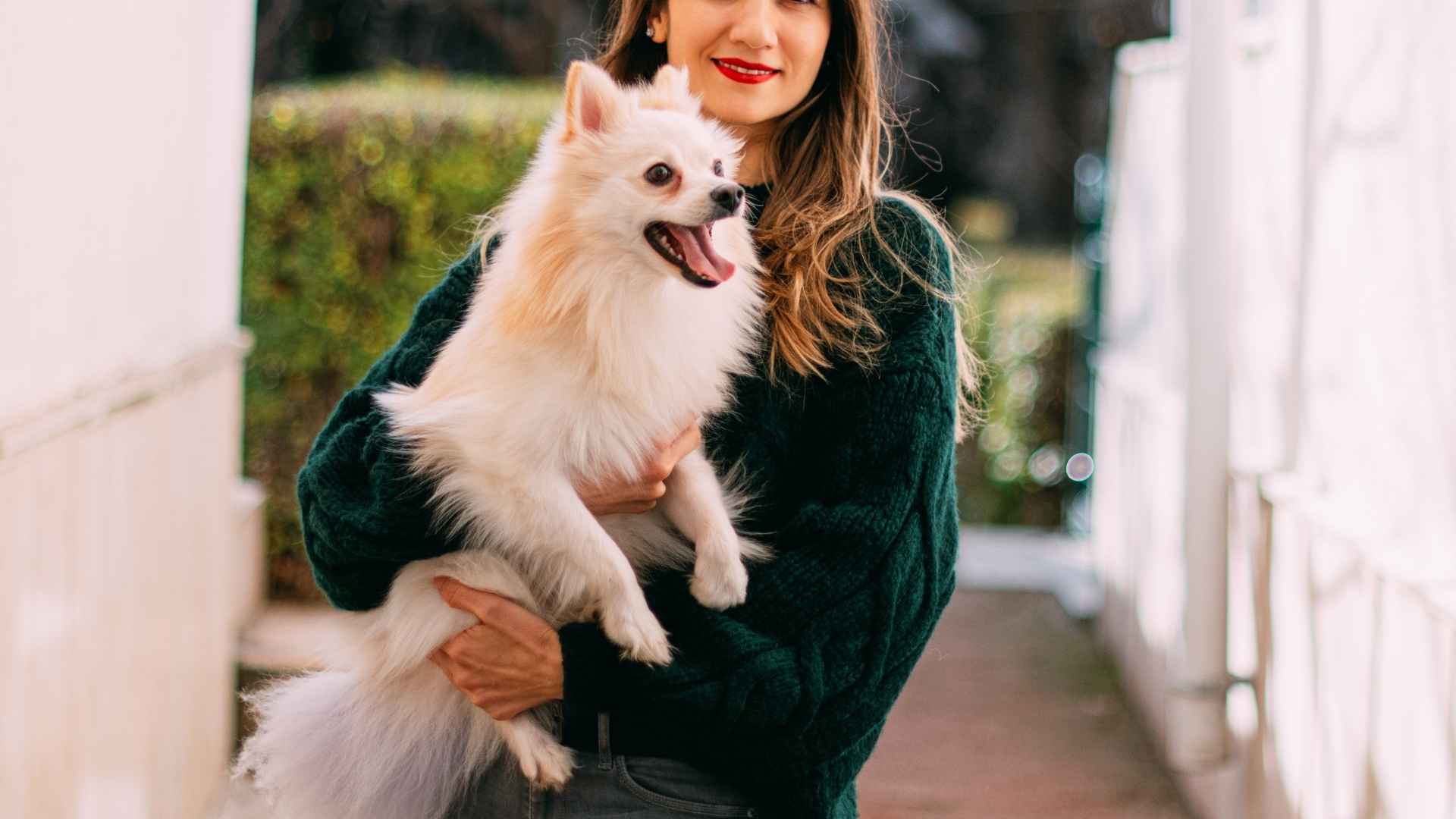 9 Extremely Friendly Dog Breeds That Stay by Your Side