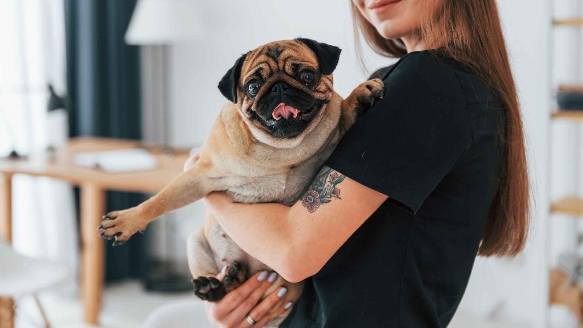 9 Friendliest Small Dog Breeds That Are Great with People