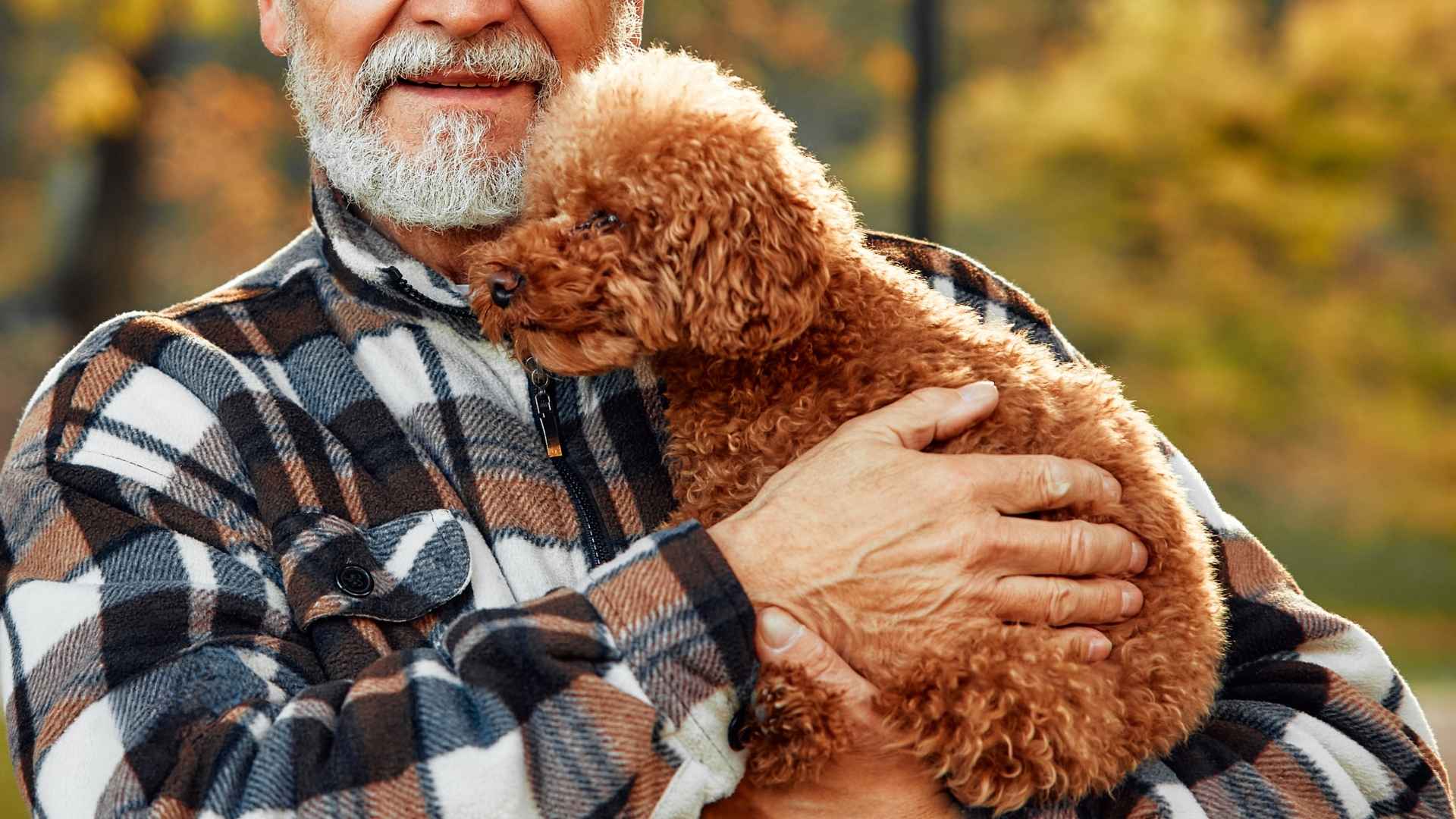 9 Gentle Dog Breeds for Baby Boomers Looking to Fill Their Homes with Joy
