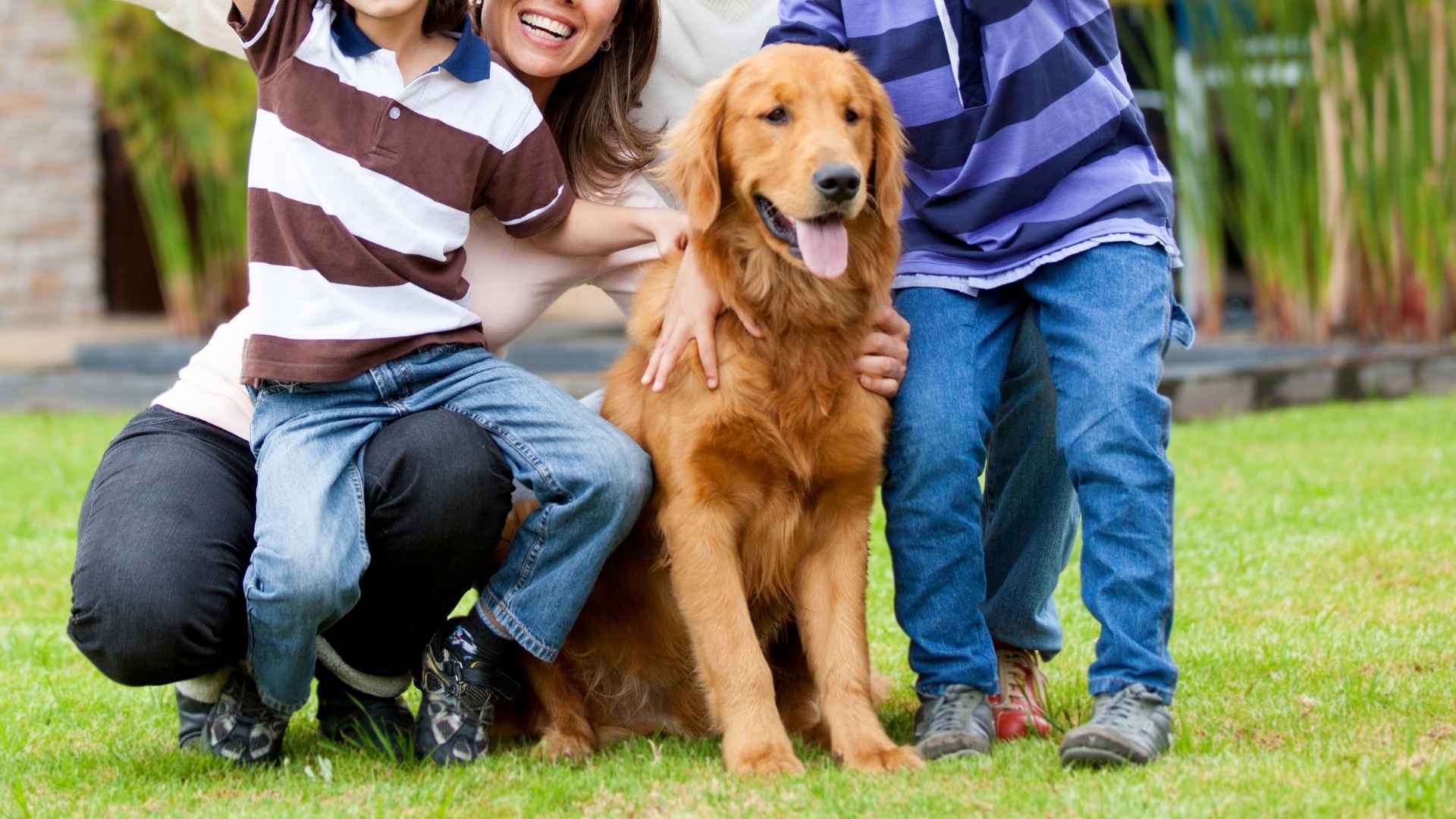9 Most Trusting Family Dog Breeds for Loving Homes