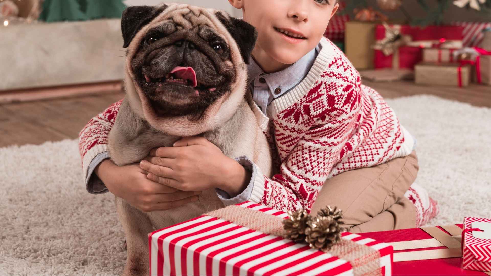 Best Dog Breeds for Kids Under 10 That Make Great Family Pets