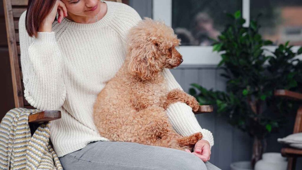 Psychiatric Service Dogs (Silent Therapists)