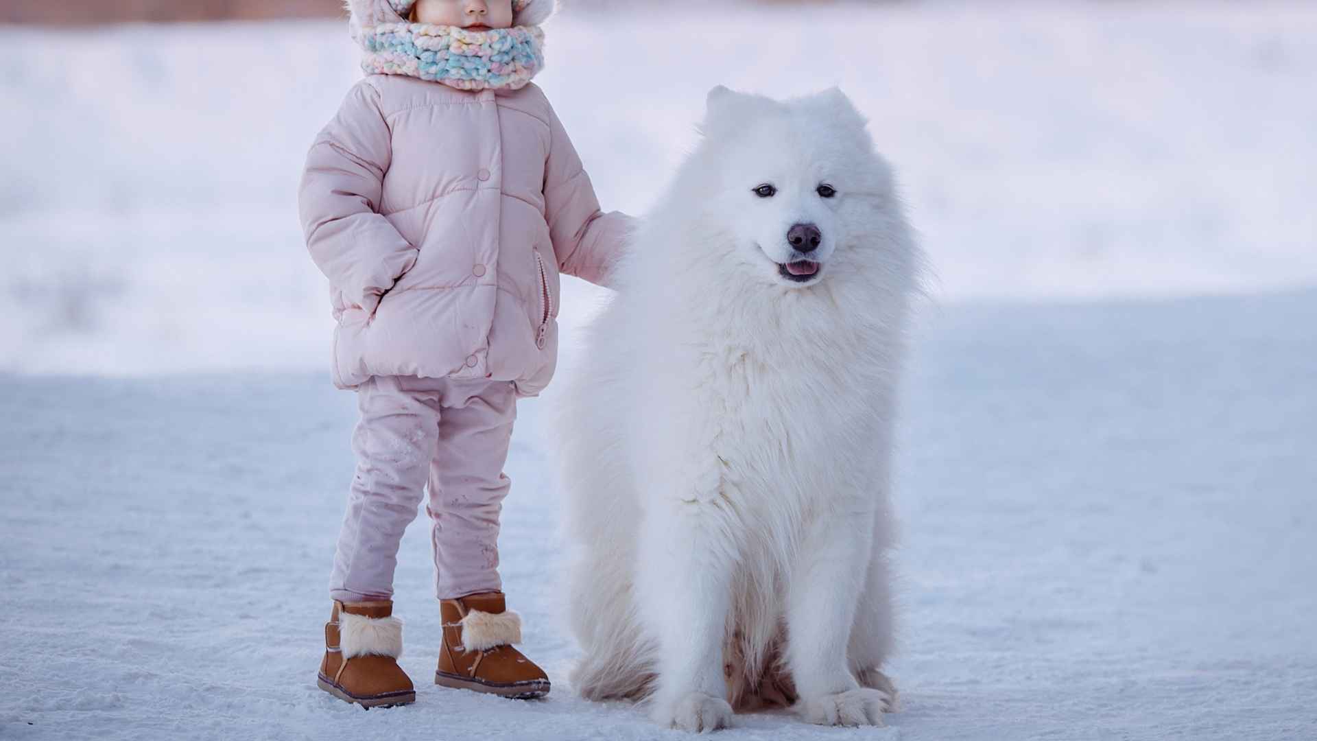 Top 10 Companion Dog Breeds For Autistic Children: Heartwarming Help