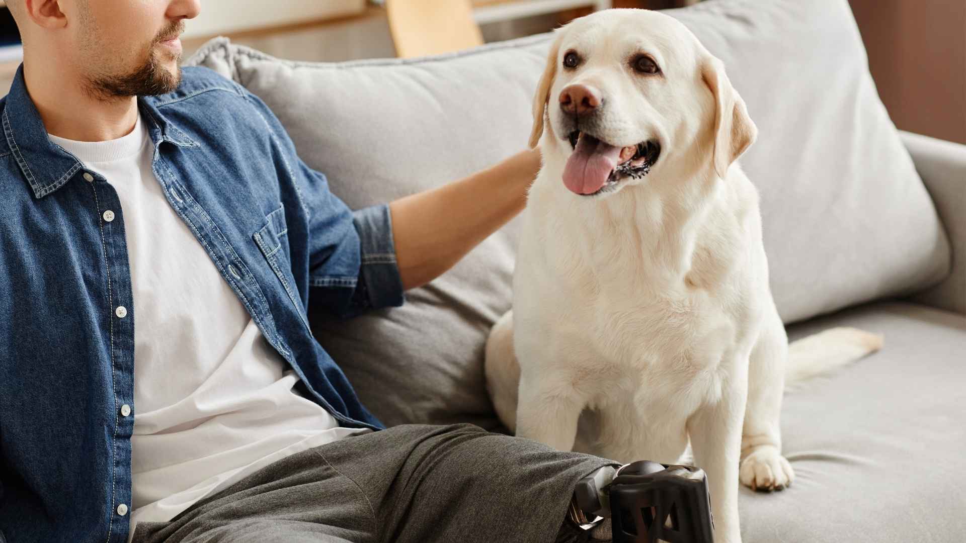 Top 10 Dog Breeds That Understand Human Emotions Instinctively