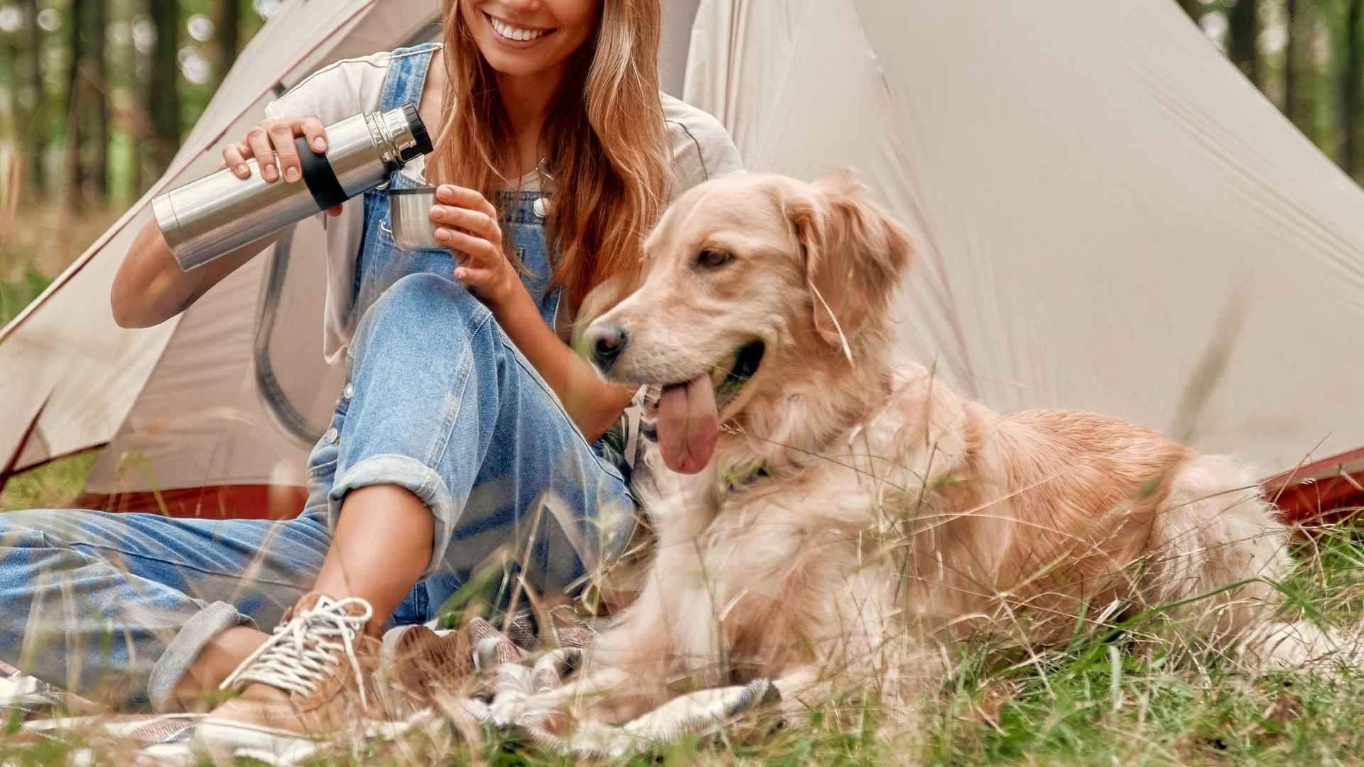 Top 10 Dog Breeds for Families Who Camp Often: Perfect Partners for Long Hikes