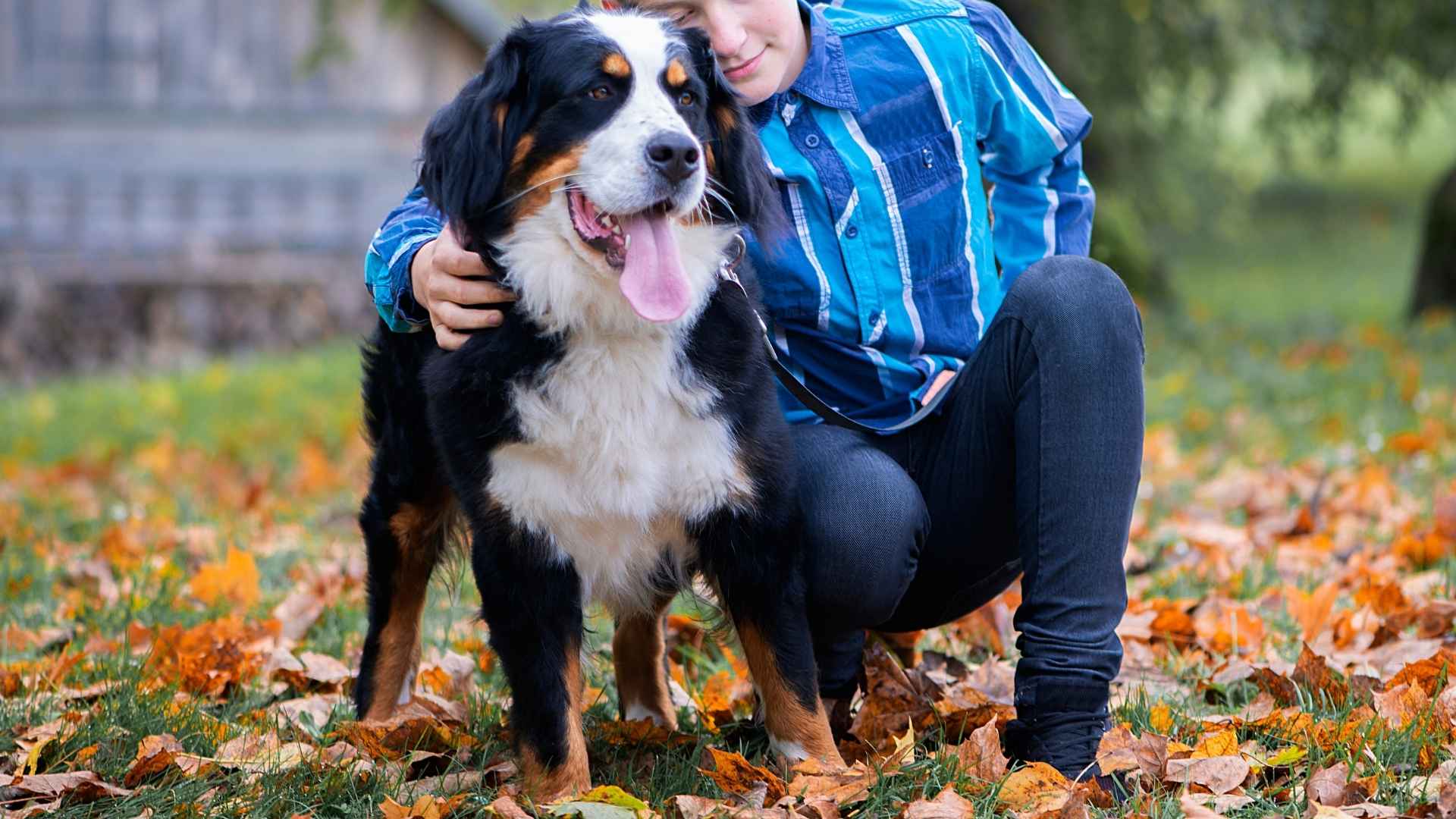 Top 7 Dog Breeds Known for Being Gentlest: Quiet, Calm, and Loving