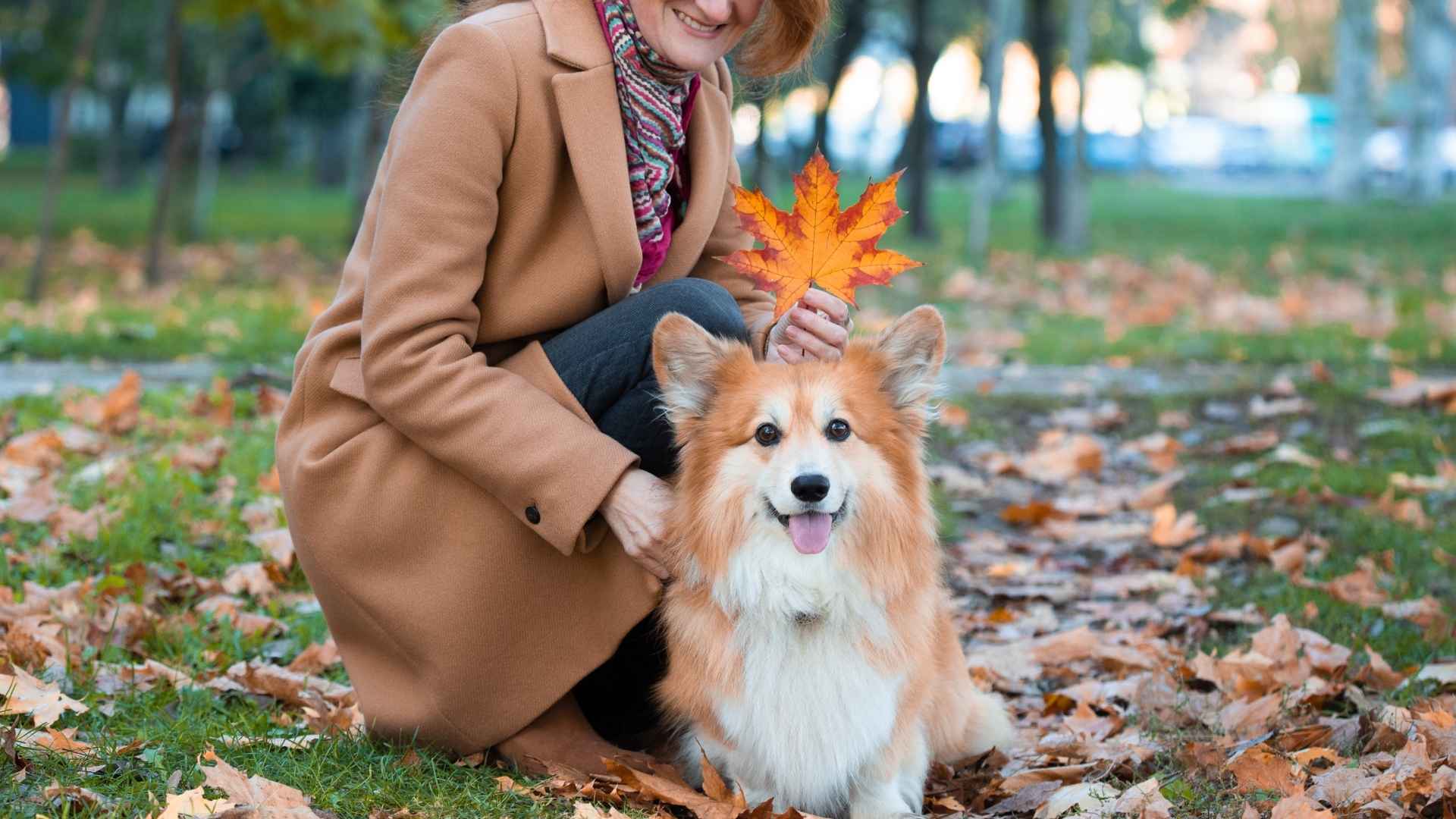 10 Best Dog Breeds for Extroverts