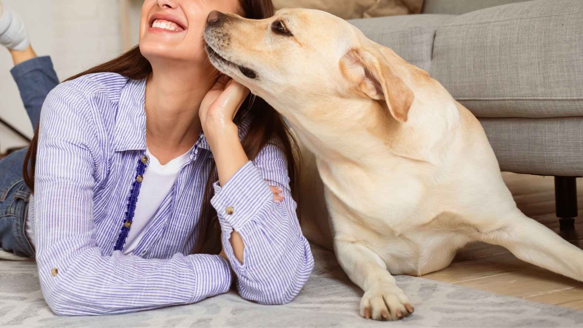 10 Dog Breeds Famous for Their Deep Devotion to Owners