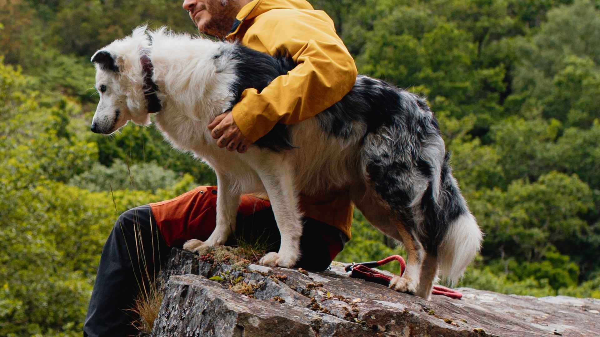 10 Dog Breeds That Are Adventurous and Thrive on Activity