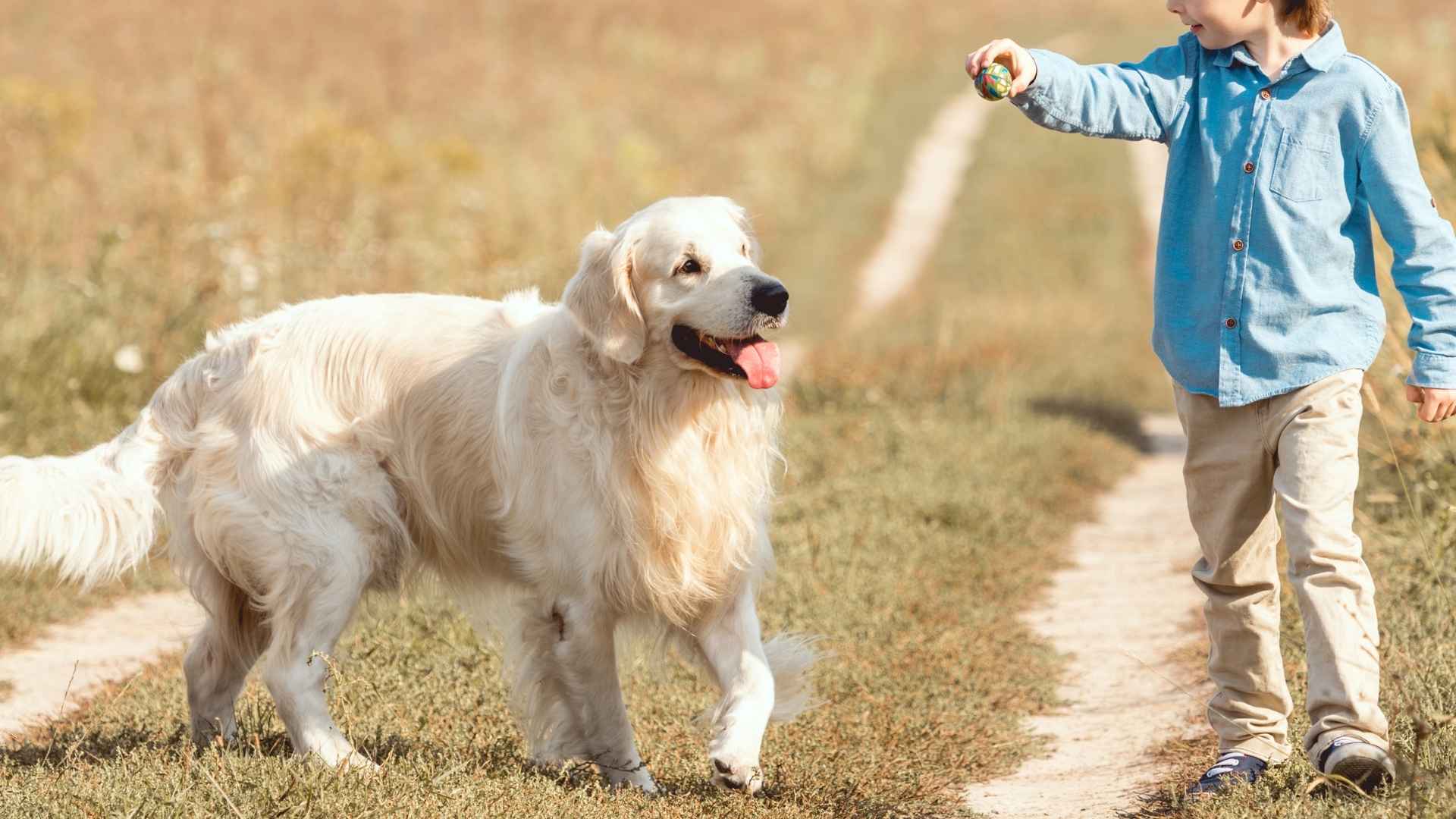 10 Dog Breeds That Are Amazingly Gentle With Kids