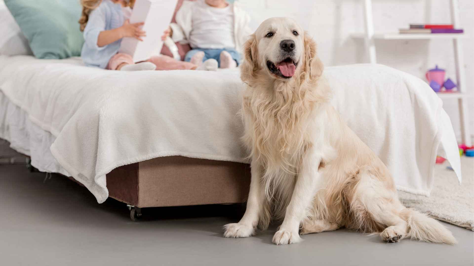 10 Dog Breeds That Guard Kids’ Beds Every Night
