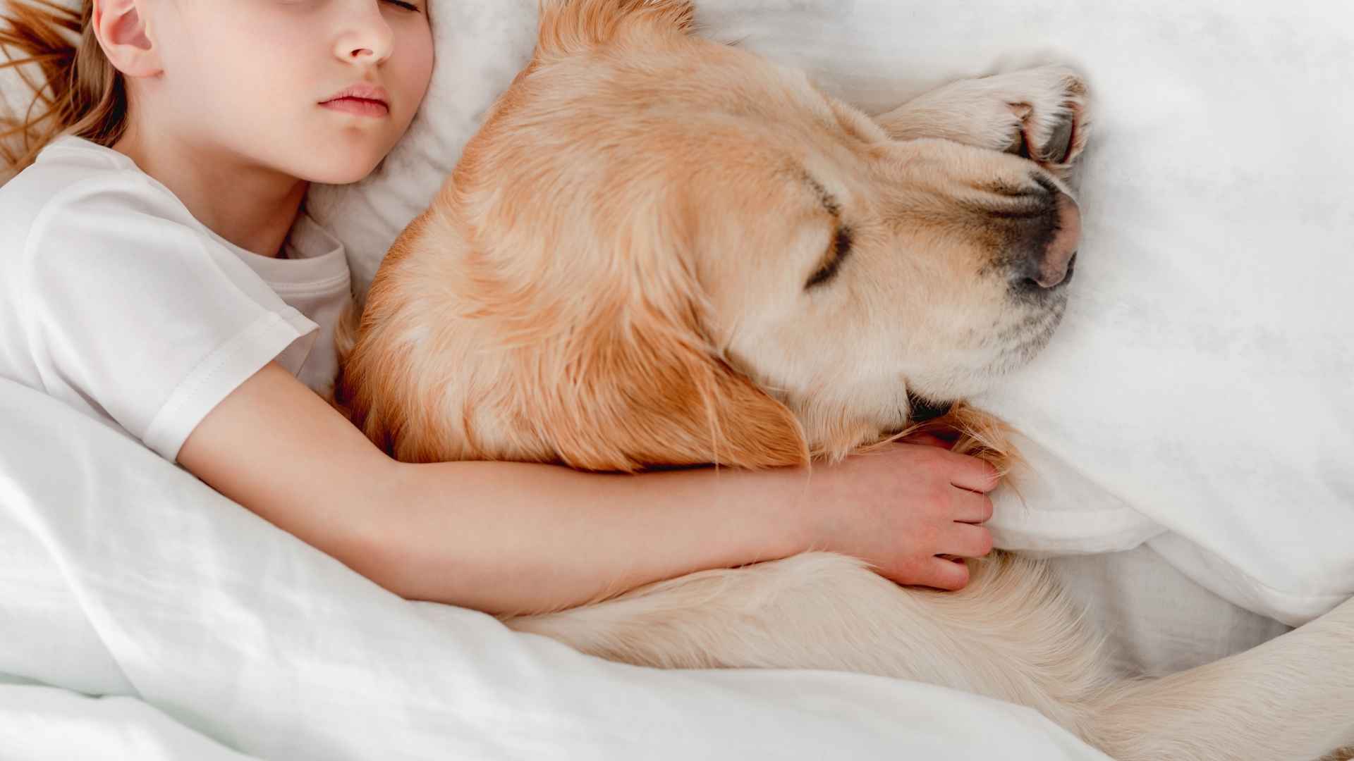 10 Dog Breeds That Sleep Near Kids’ Beds as Guards