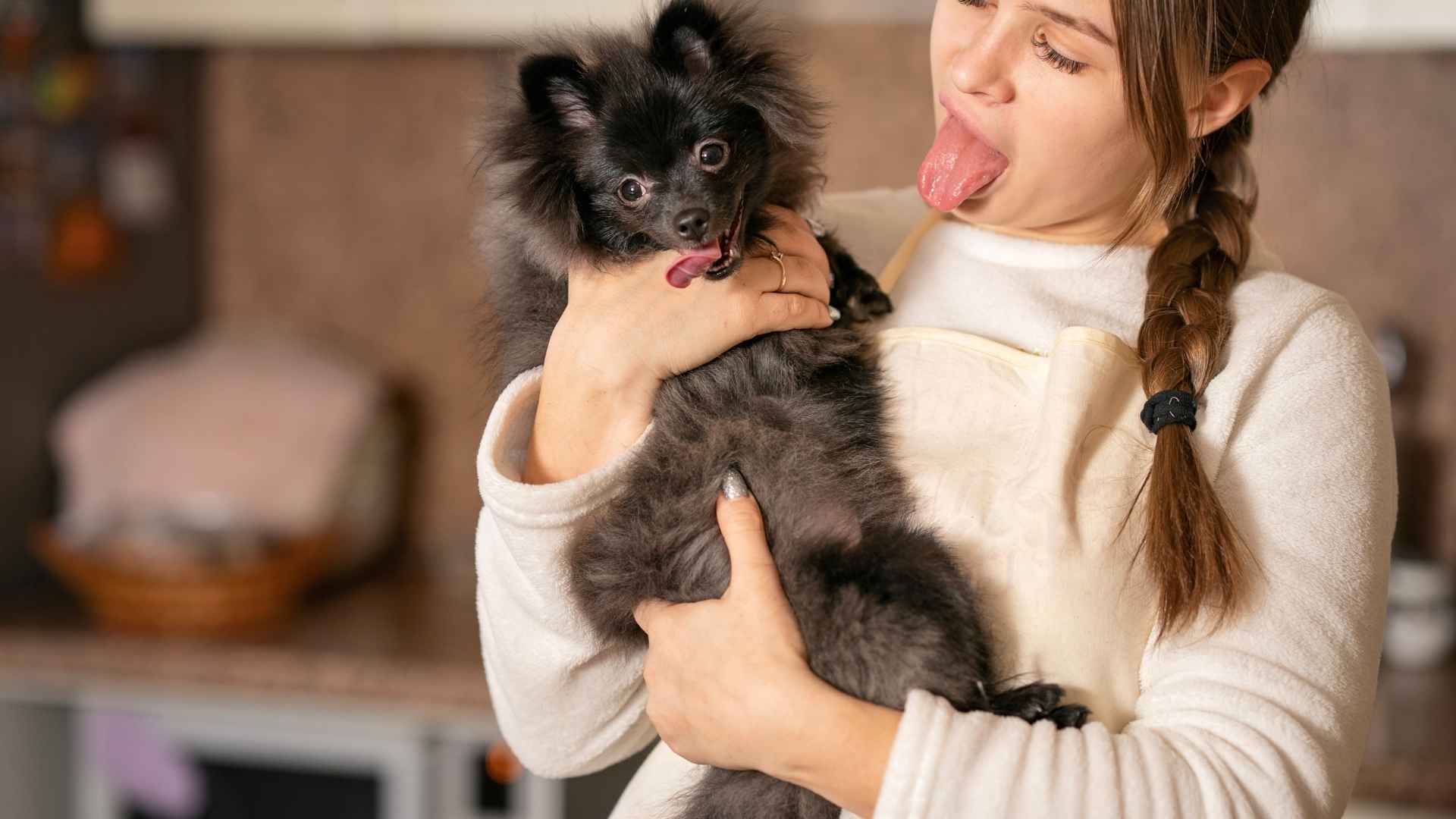 10 Dog Breeds that Mimic Human Habits and Mirror Human Emotions & Actions