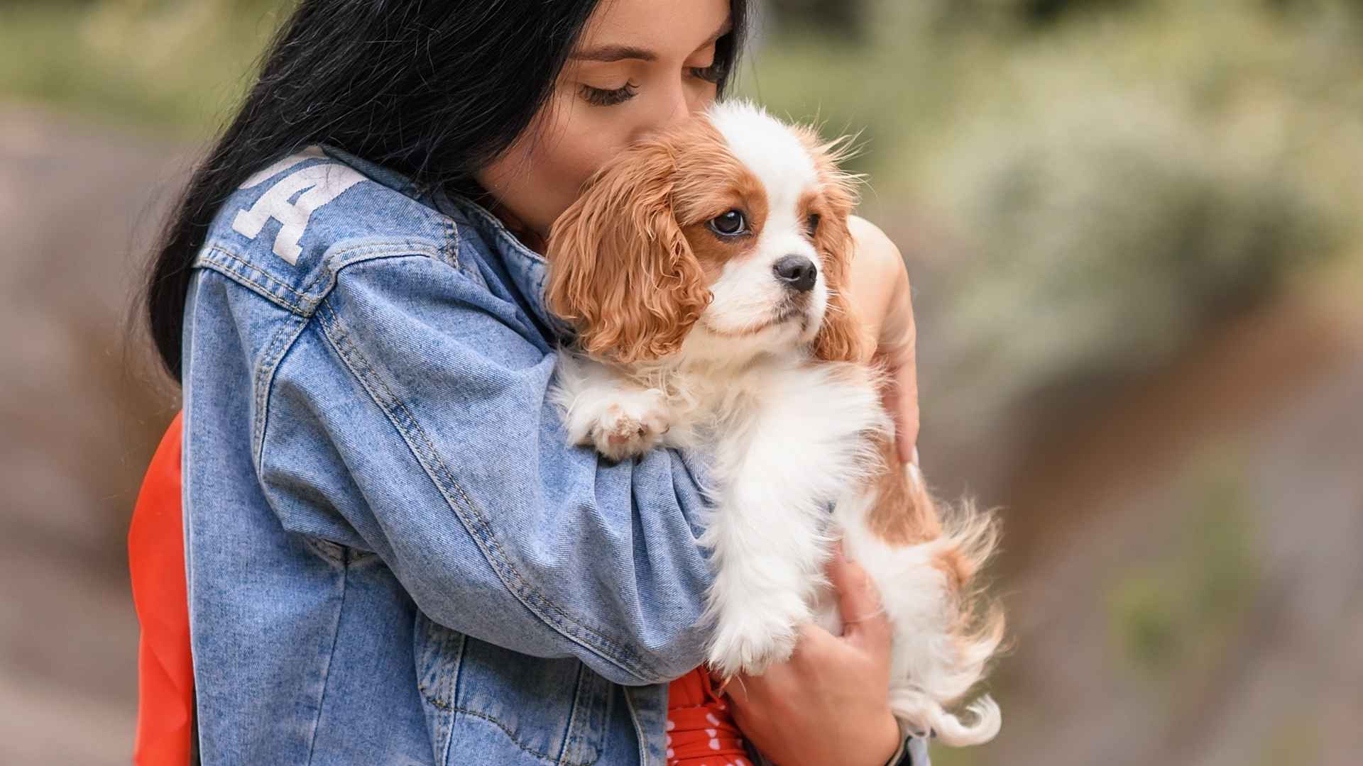 10 Most Calmest Dog Breeds That Are Easy to Live With