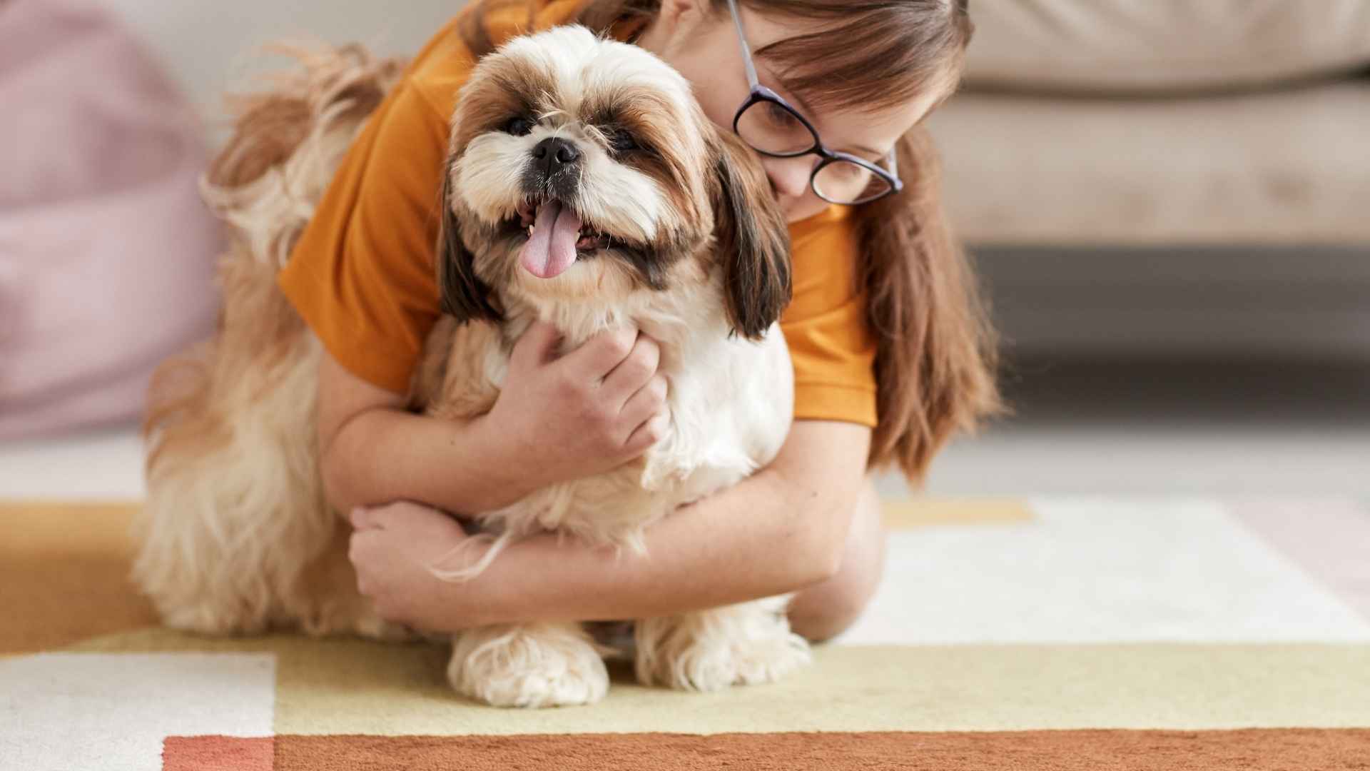 10 Most Friendly & Playful Dog Breeds