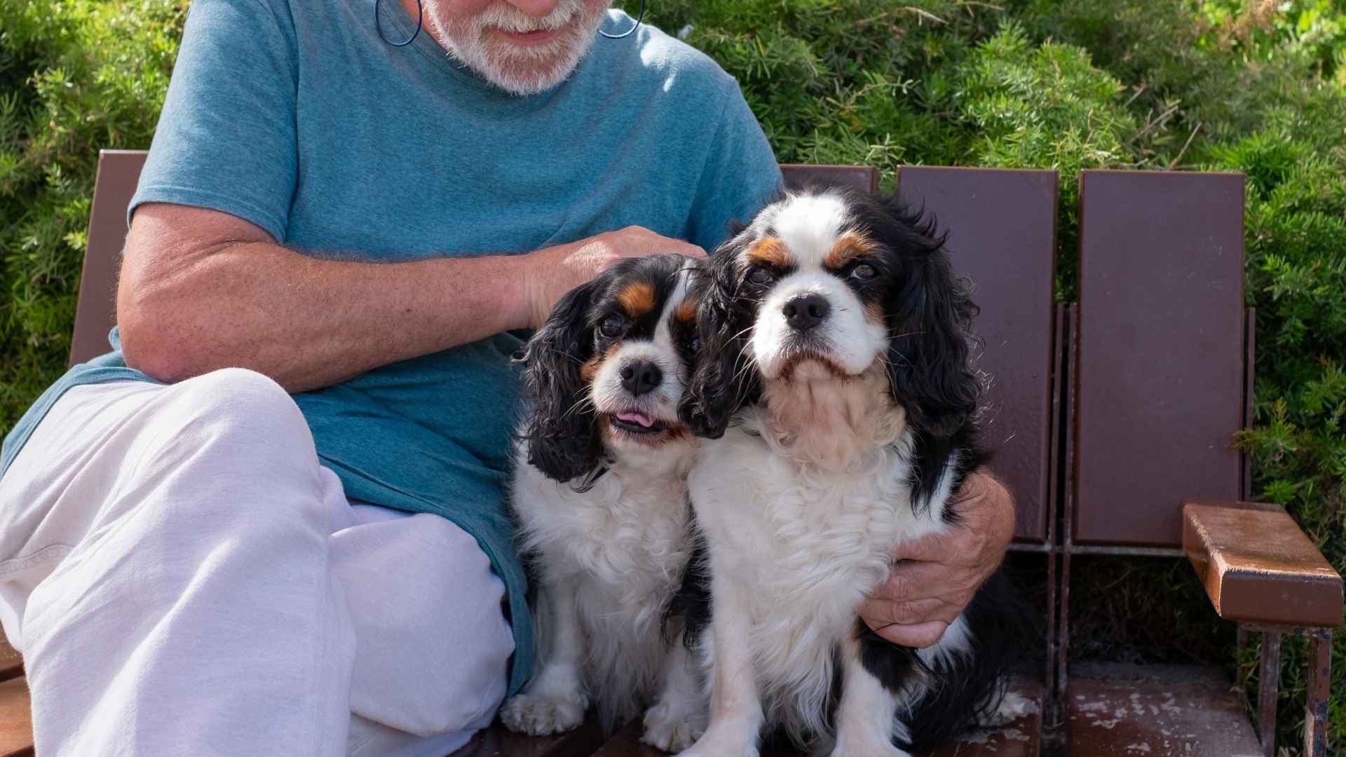 7 Best Dog Breeds For Elderly Singles Living Alone