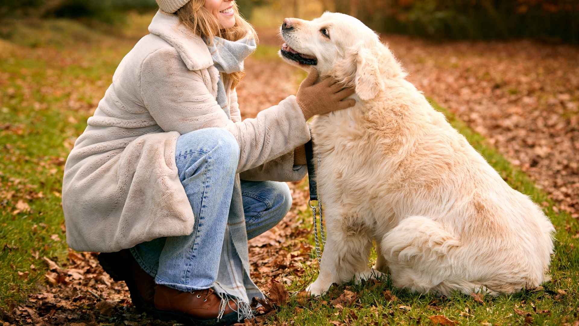 7 Best Dog Breeds For Mental Health Therapy That Help Ease Anxiety & Stress