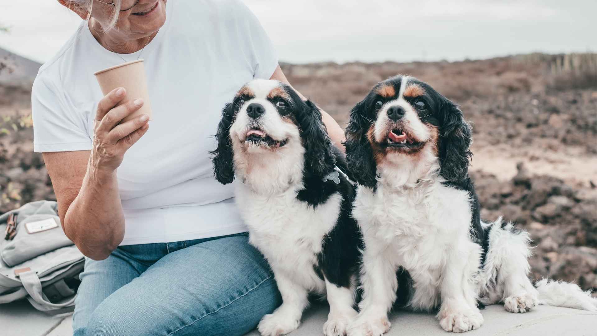 7 Best Dog Breeds For Seniors That Are Low-Maintenance and Loving