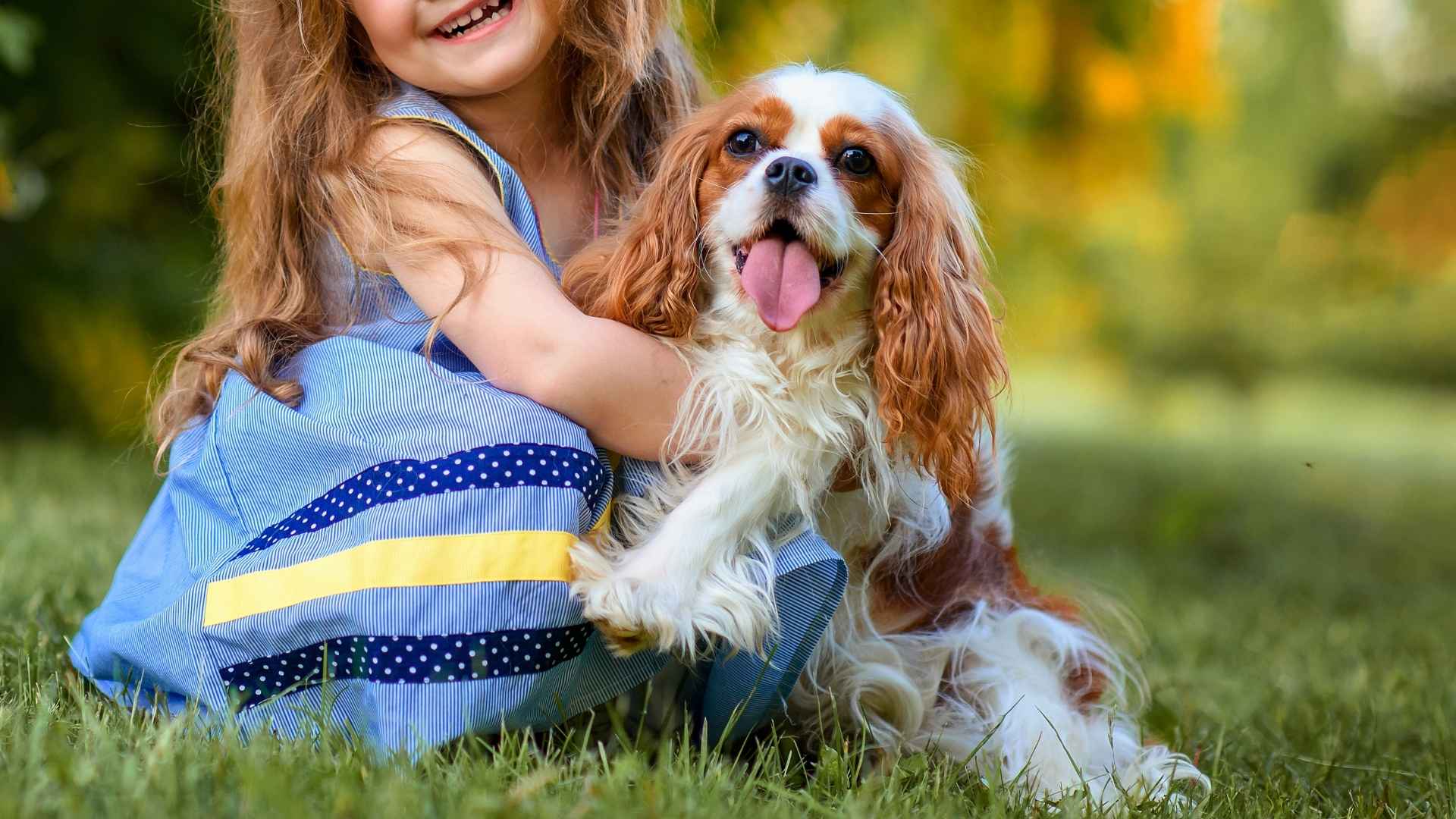 7 Best Small Dog Breeds for Kids that Always Stay by Your Side