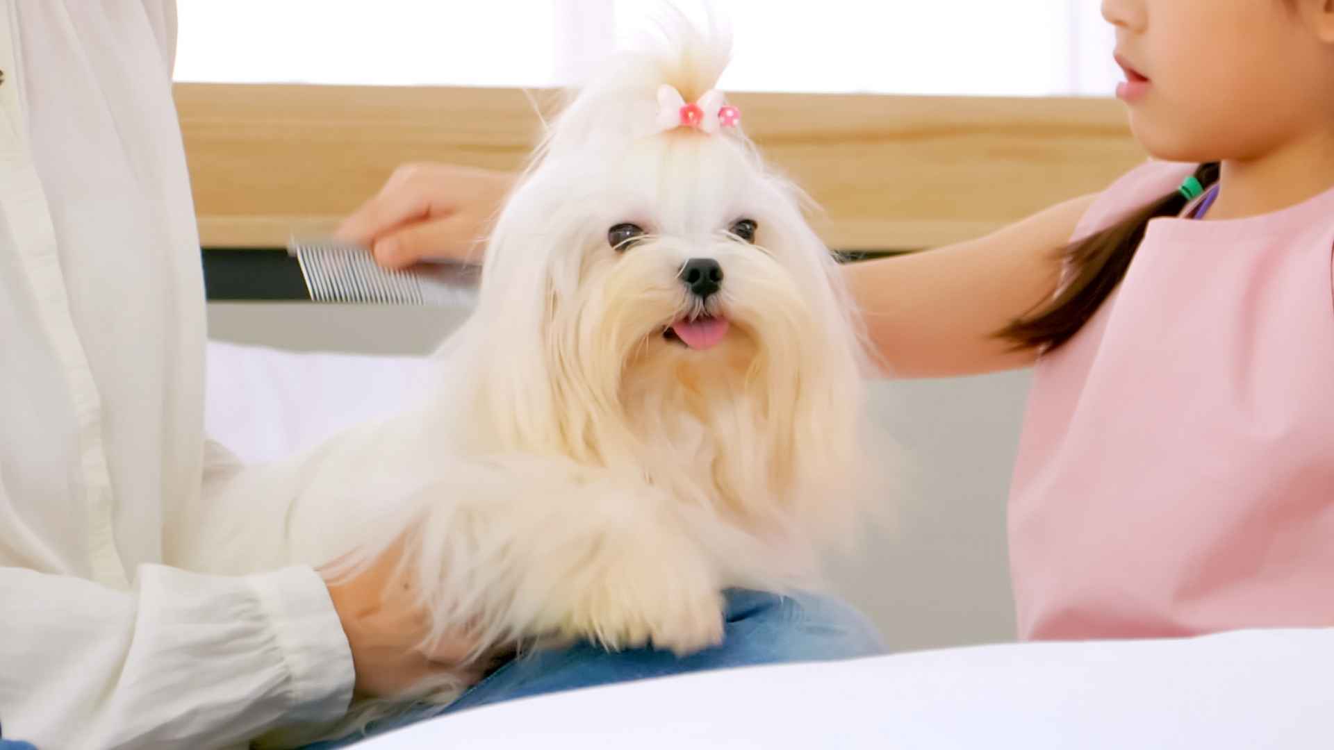 7 Calm Dog Breeds That Love Children: The Adorable Pups