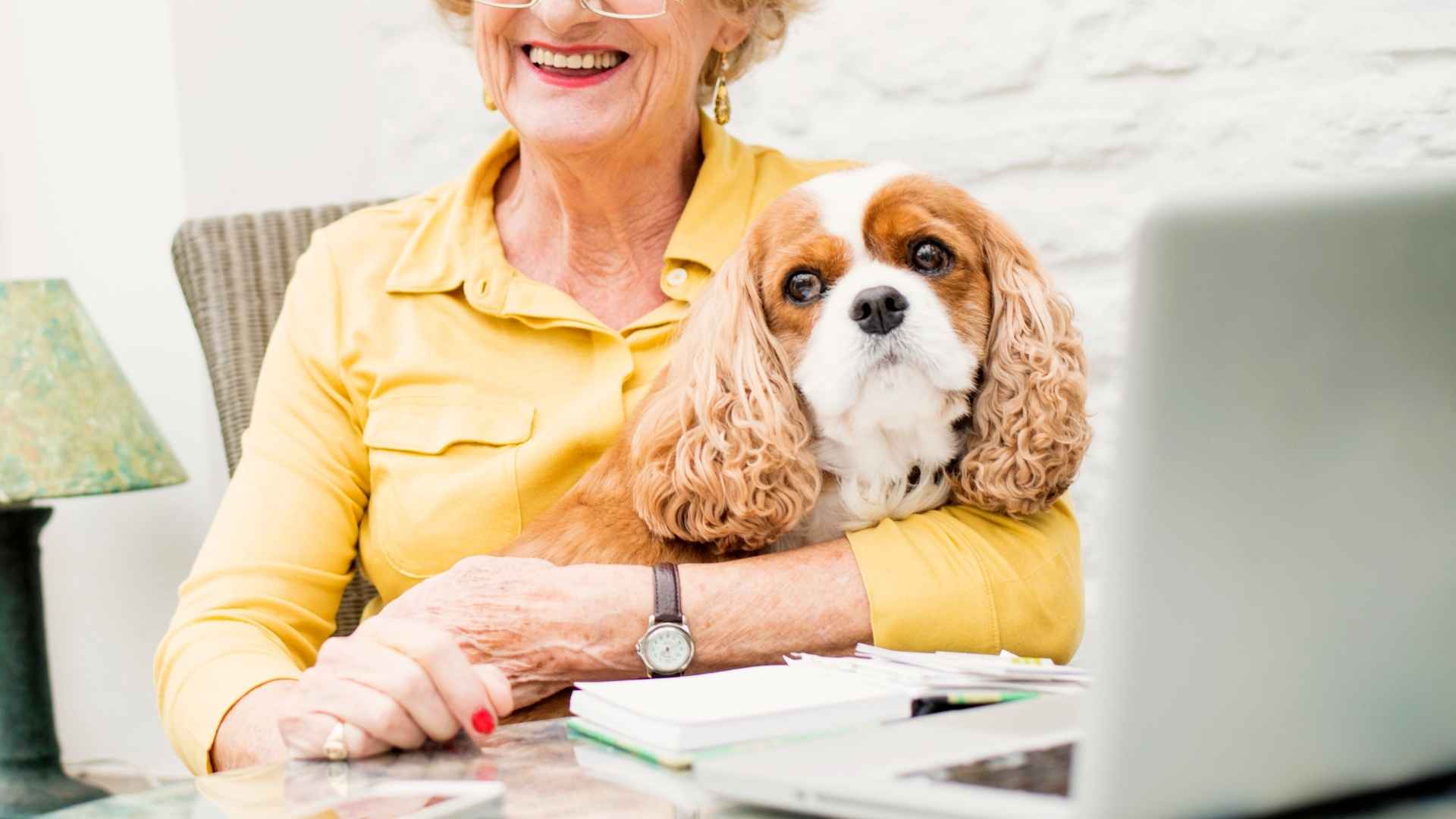 7 Clever Dog Breeds For Seniors Who Want a Sharp, Loyal Friend