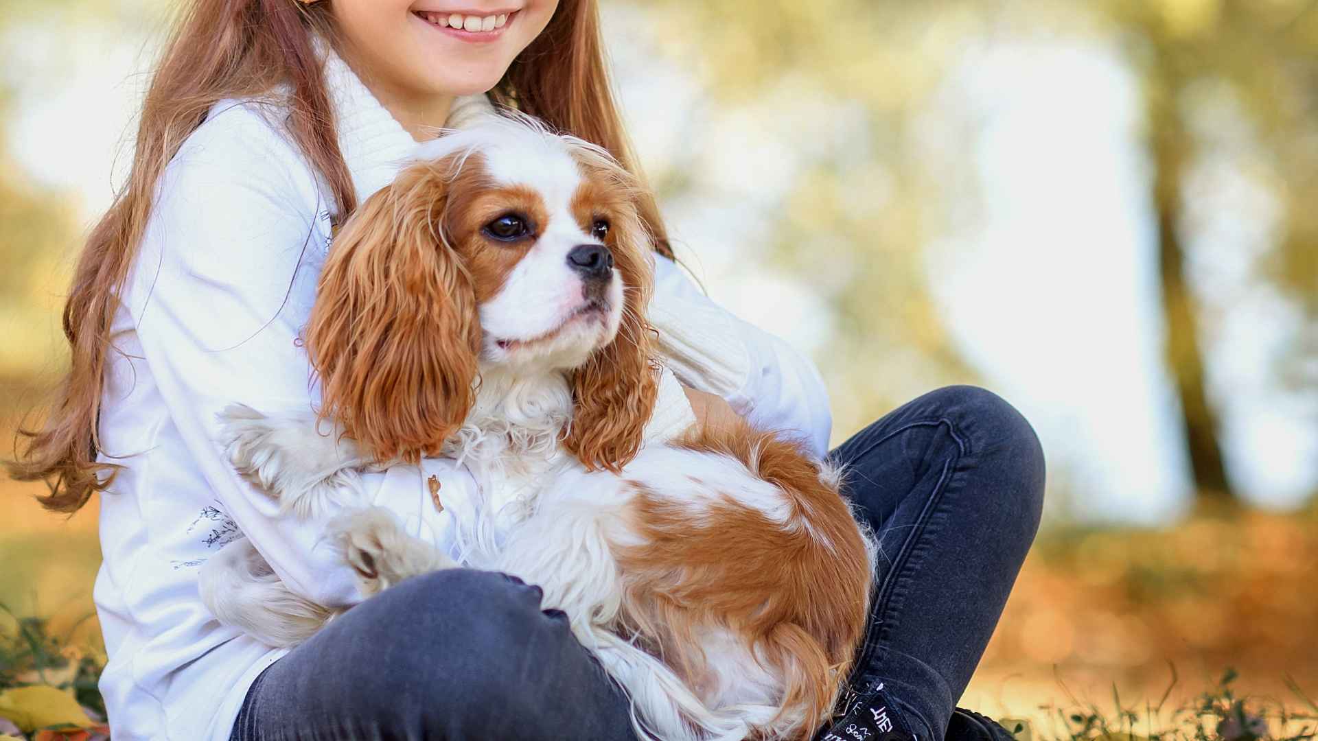 7 Dog Breeds For Inexperienced Owners That Are Easy to Handle