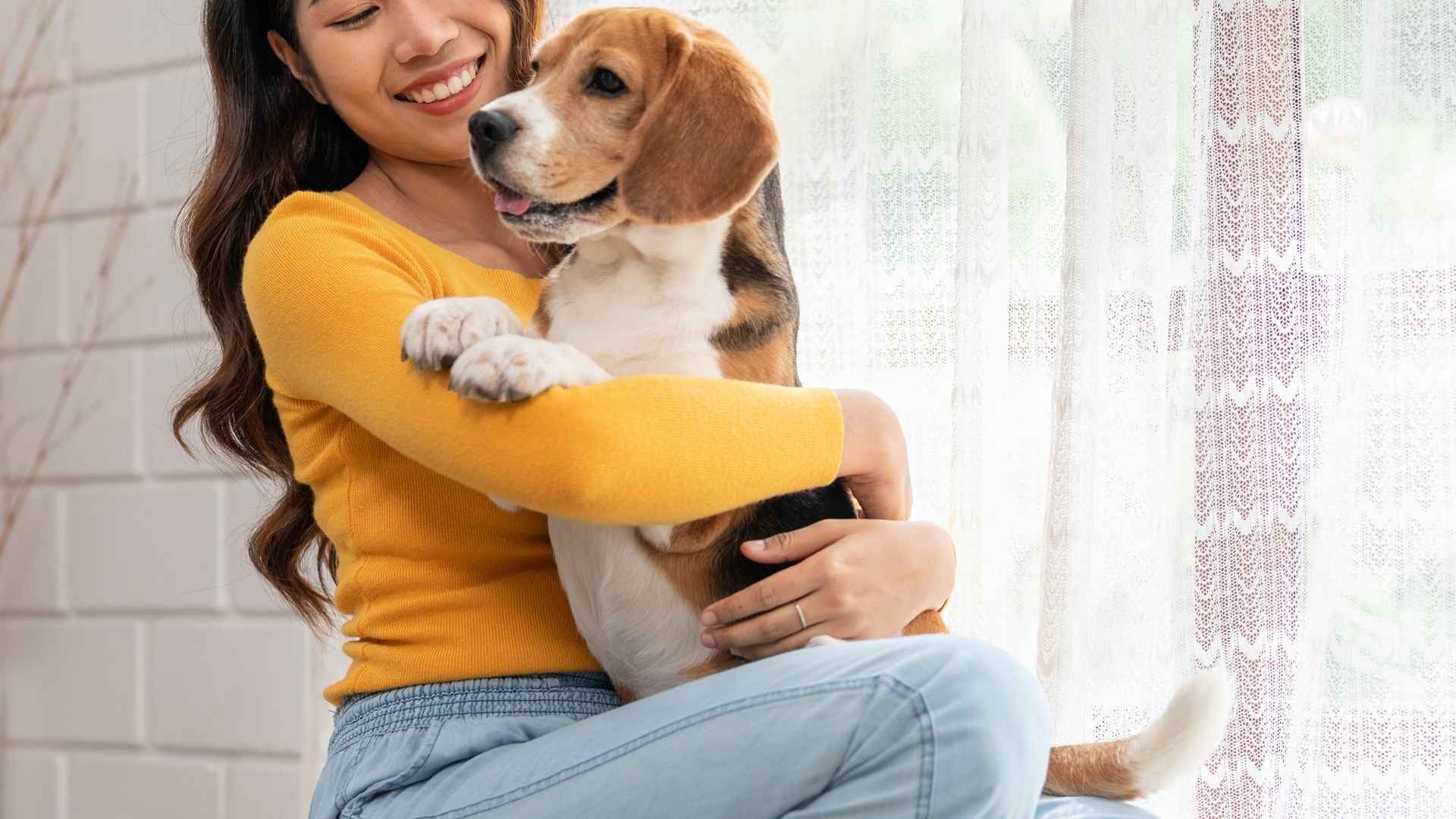 7 Dog Breeds That Act Like Toddlers and Throw Tantrums and Crave Attention