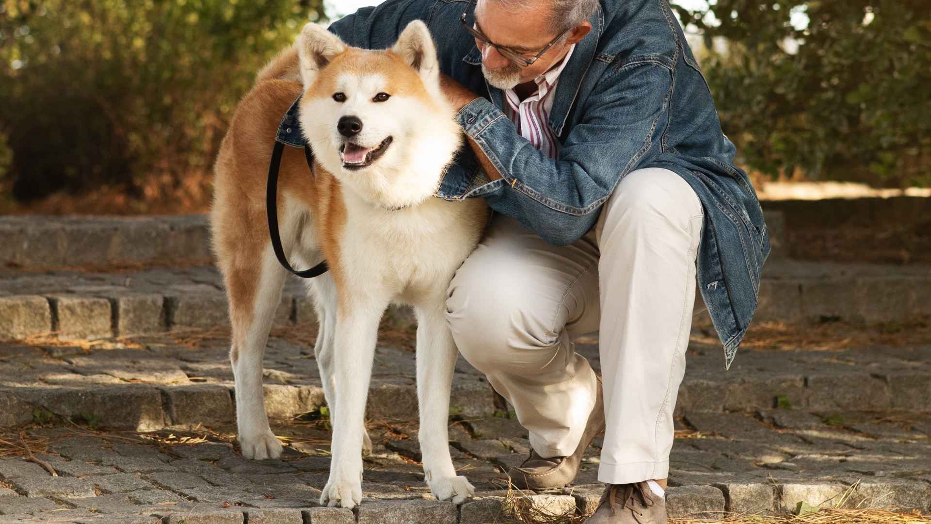 7 Dog Breeds That Are Shy But Protective and Quietly Guard Their Families