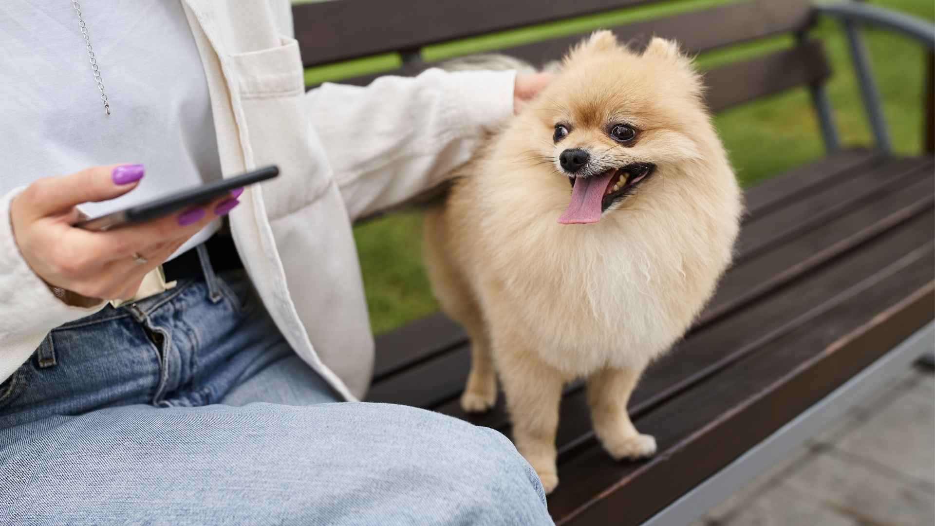 7 Dog Breeds That Bark Differently For Known Visitors