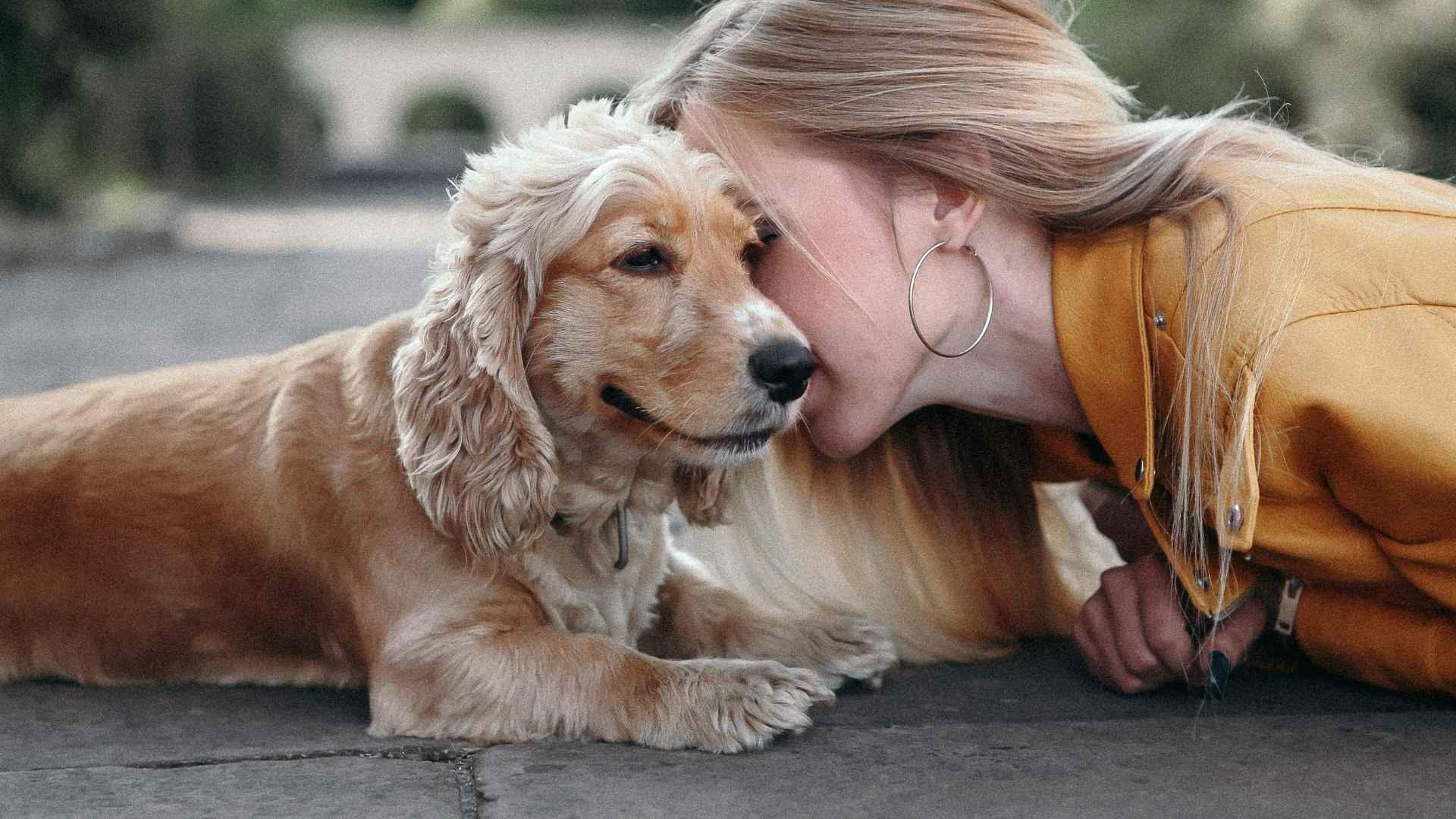 7 Dog Breeds That Bond Quickly and Become Family in No Time