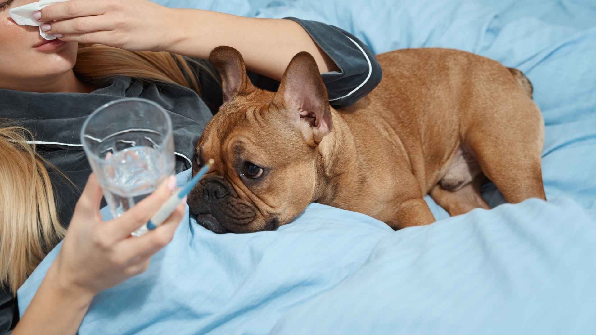 7 Dog Breeds That Bring Water Bowls To Sick Owners