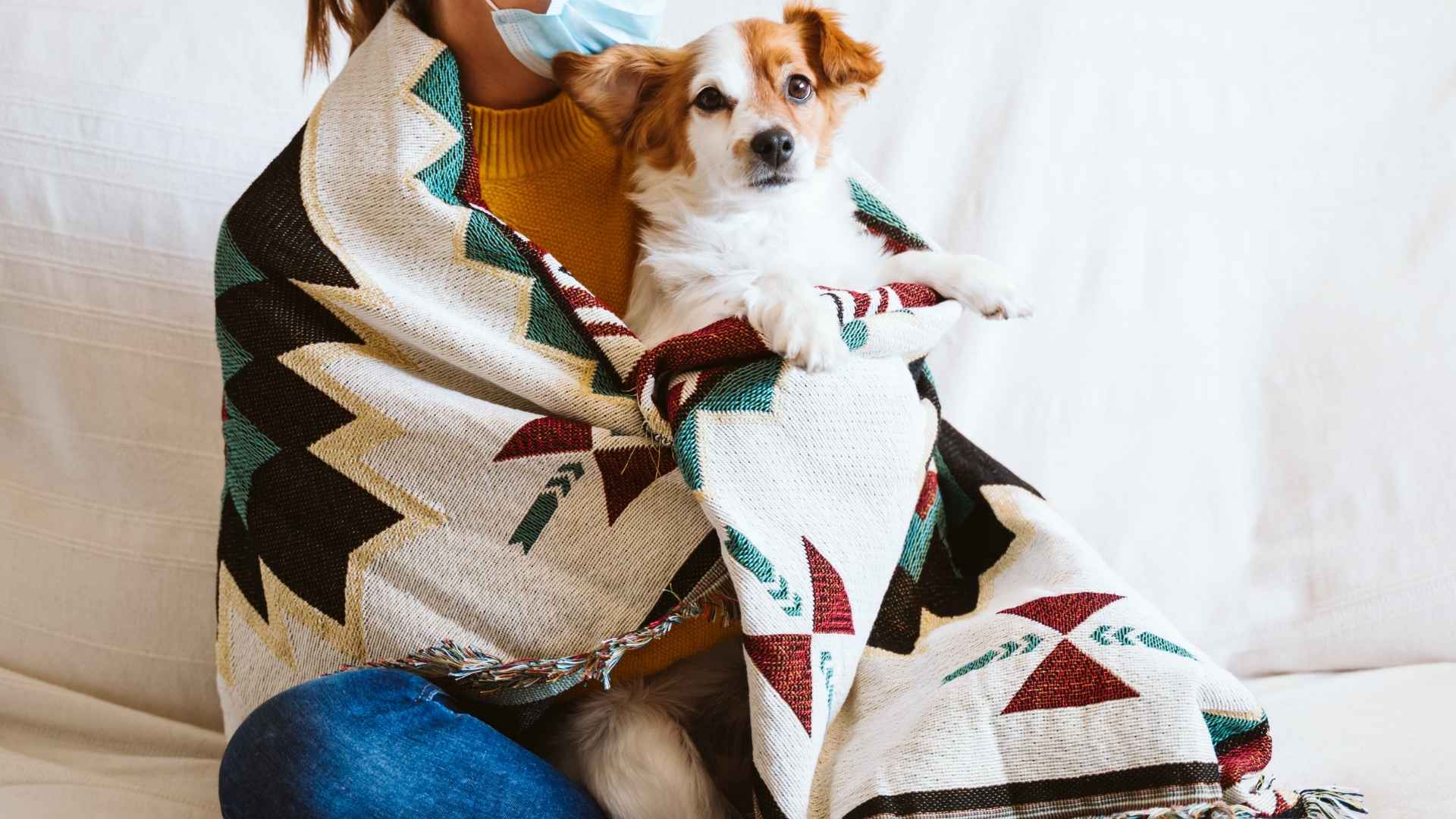 7 Dog Breeds That Cover Owners With Blankets