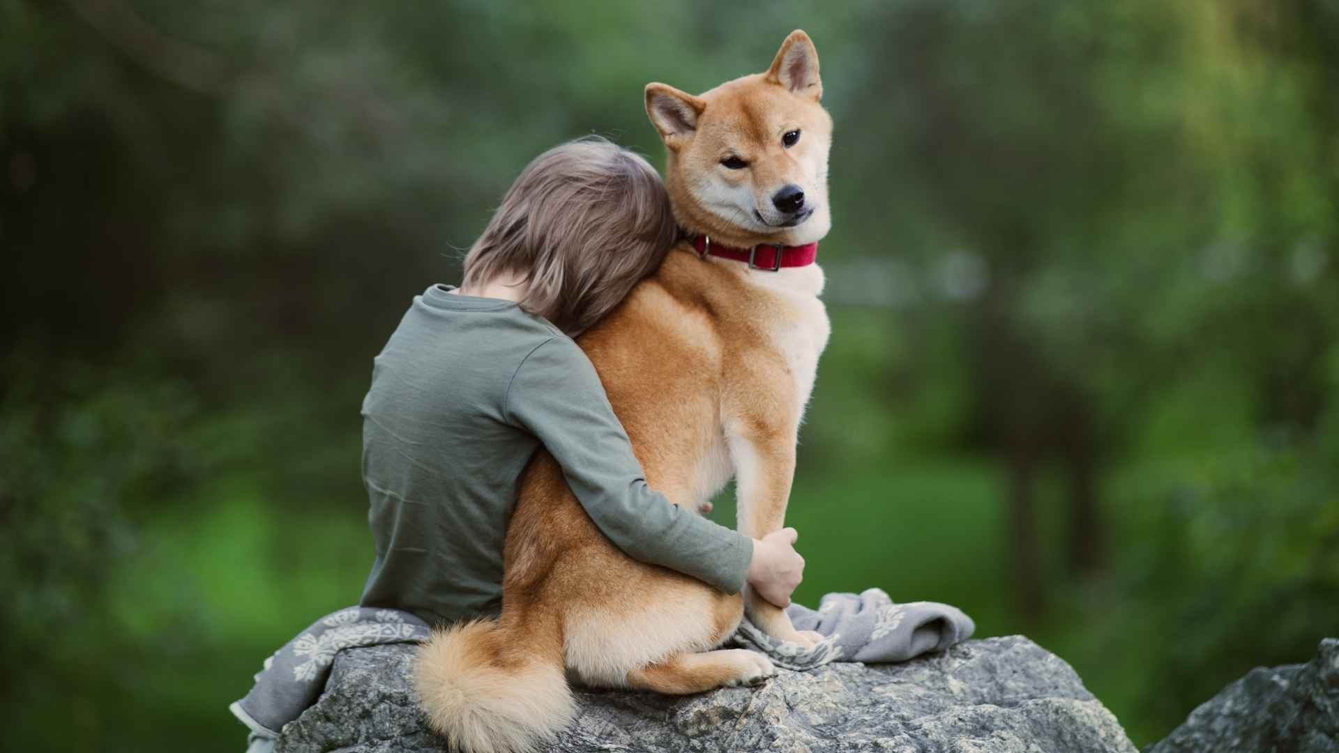 7 Dog Breeds That Form The Deepest Bonds With Humans
