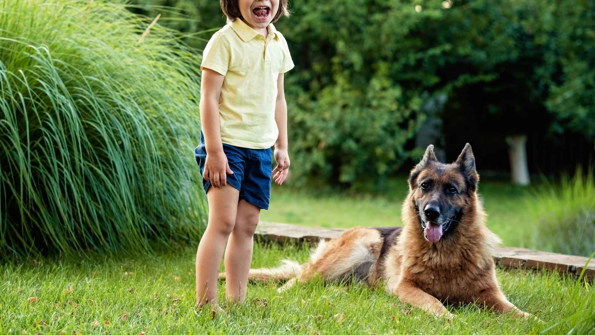 7 Dog Breeds That Guard Kids Playing in Gardens