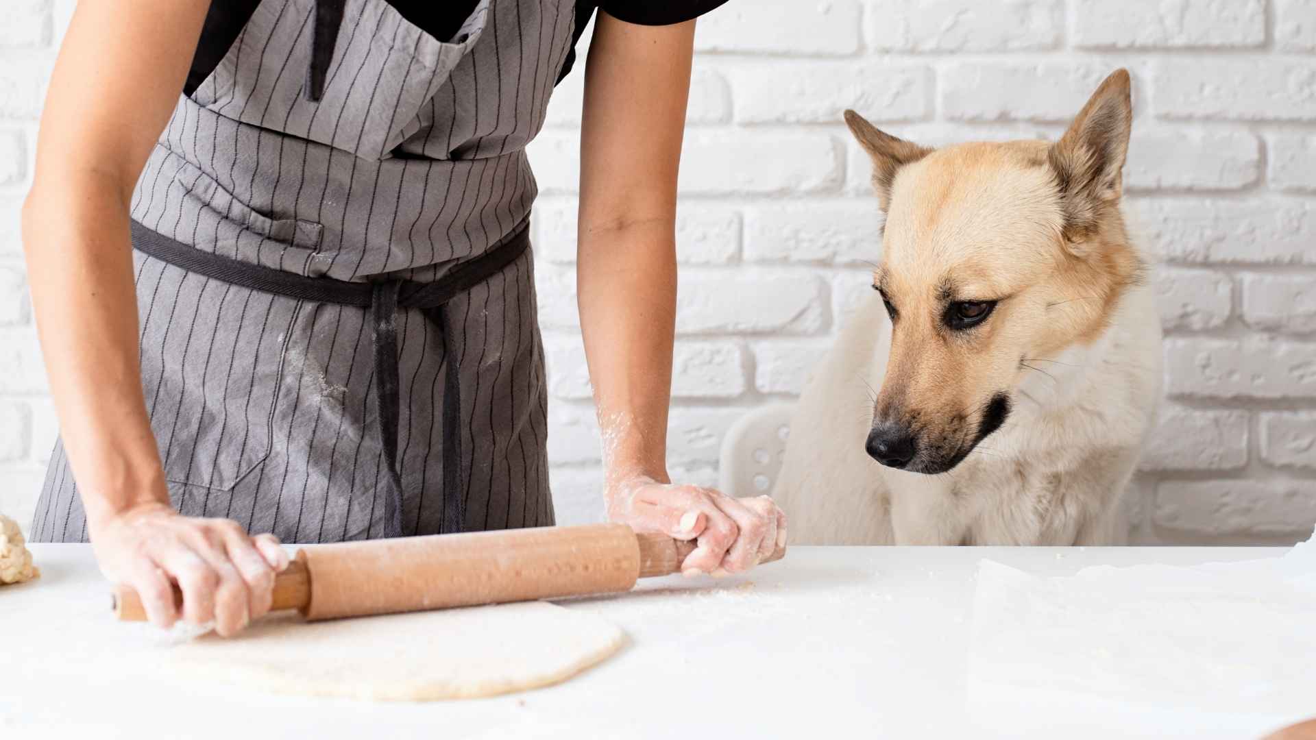 7 Dog Breeds That Guard Owners While They Cook