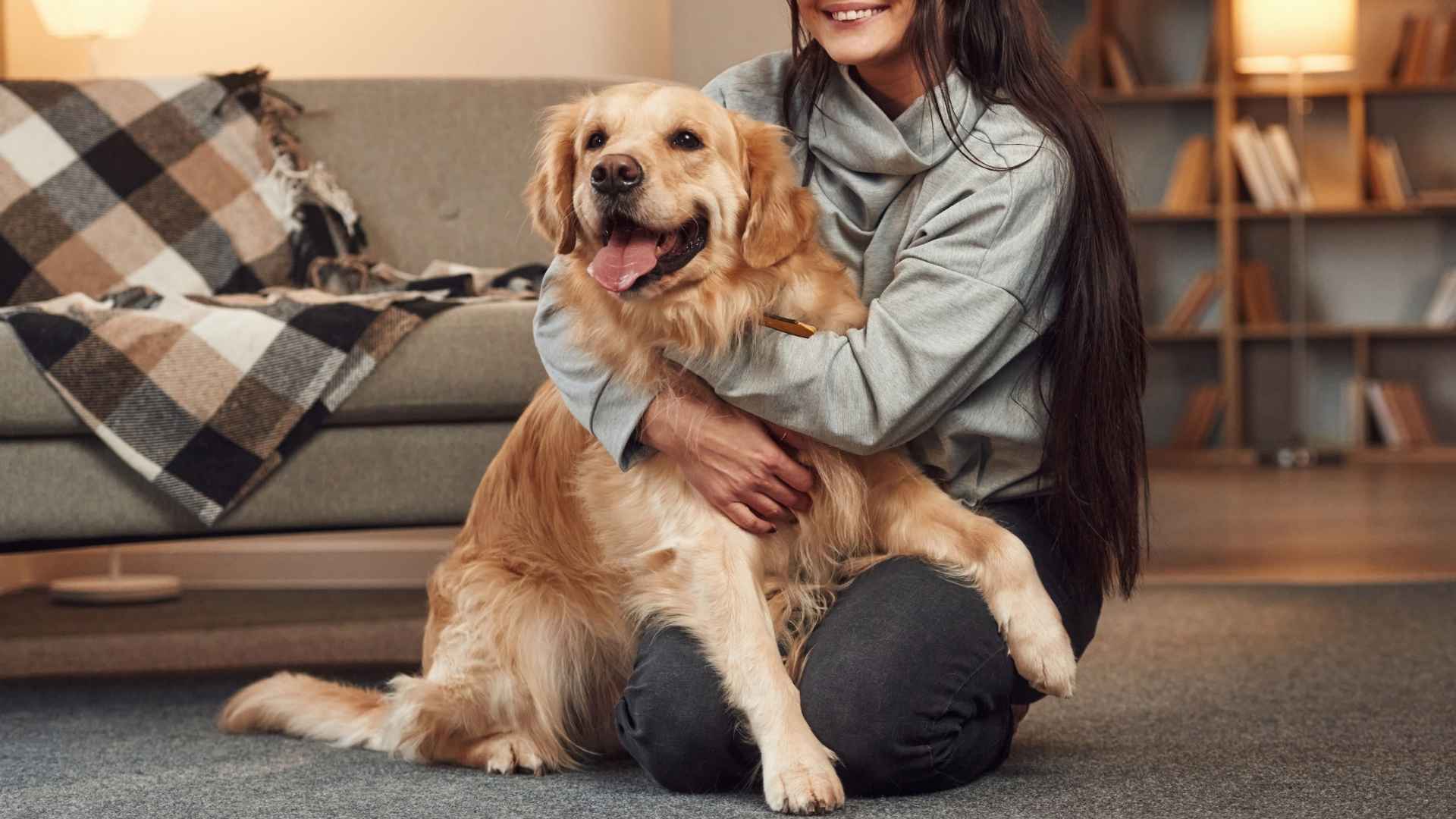 7 Dog Breeds That Help Reduce Stress and Make Life Better