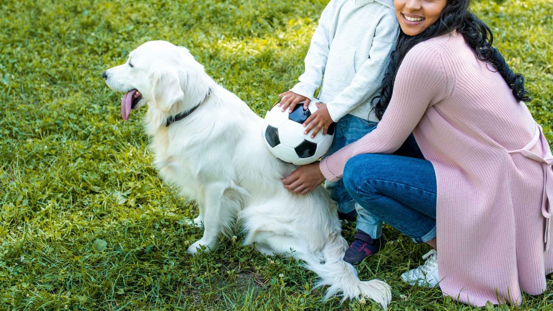 7 Dog Breeds That Love Watching Kids Play Soccer