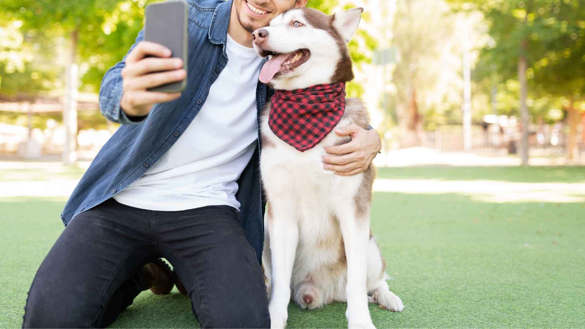 7 Dog Breeds That Pose Perfectly For Selfies Like Pros