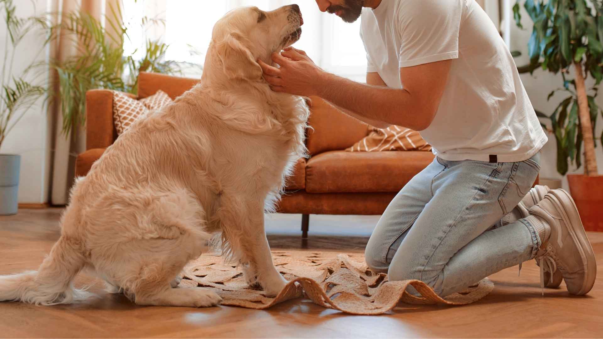 7 Dog Breeds That Predict Owners’ Panic Attacks