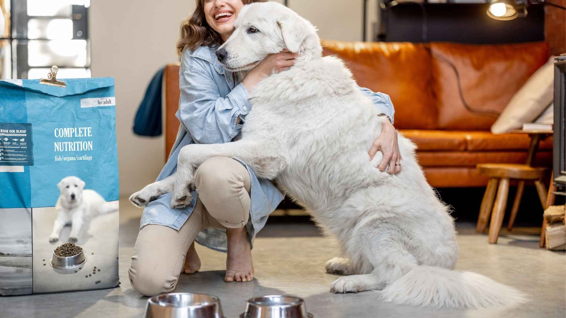 7 Dog Breeds That Prove True Love Exists and Exemplify True Devotion