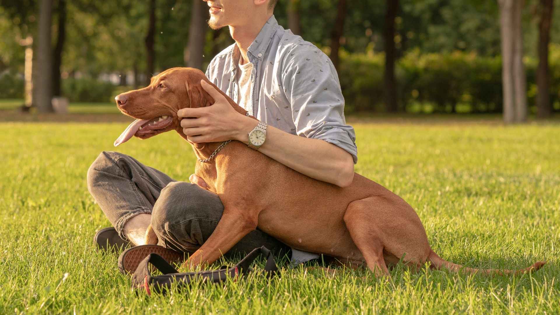 7 Dog Breeds That Stay Attached Like Little Puppies