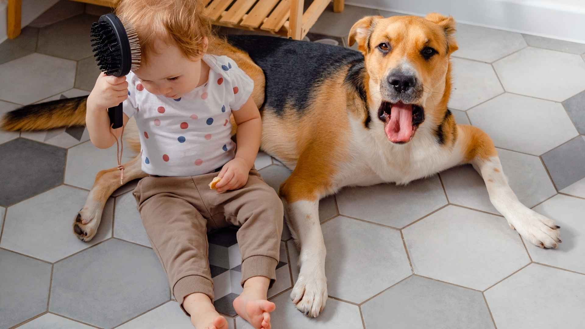 7 Dog Breeds That Wake Kids Before Fire Alarms