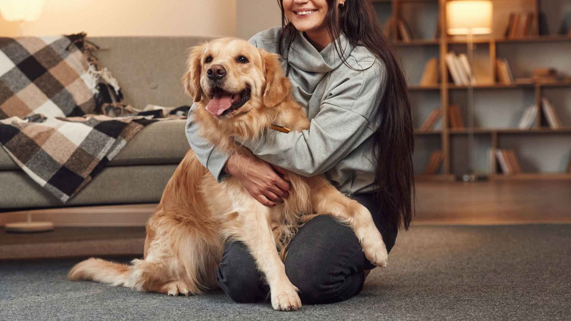 7 Dog Breeds Who Are Mind Readers (Yes, They Really Can Sense You)
