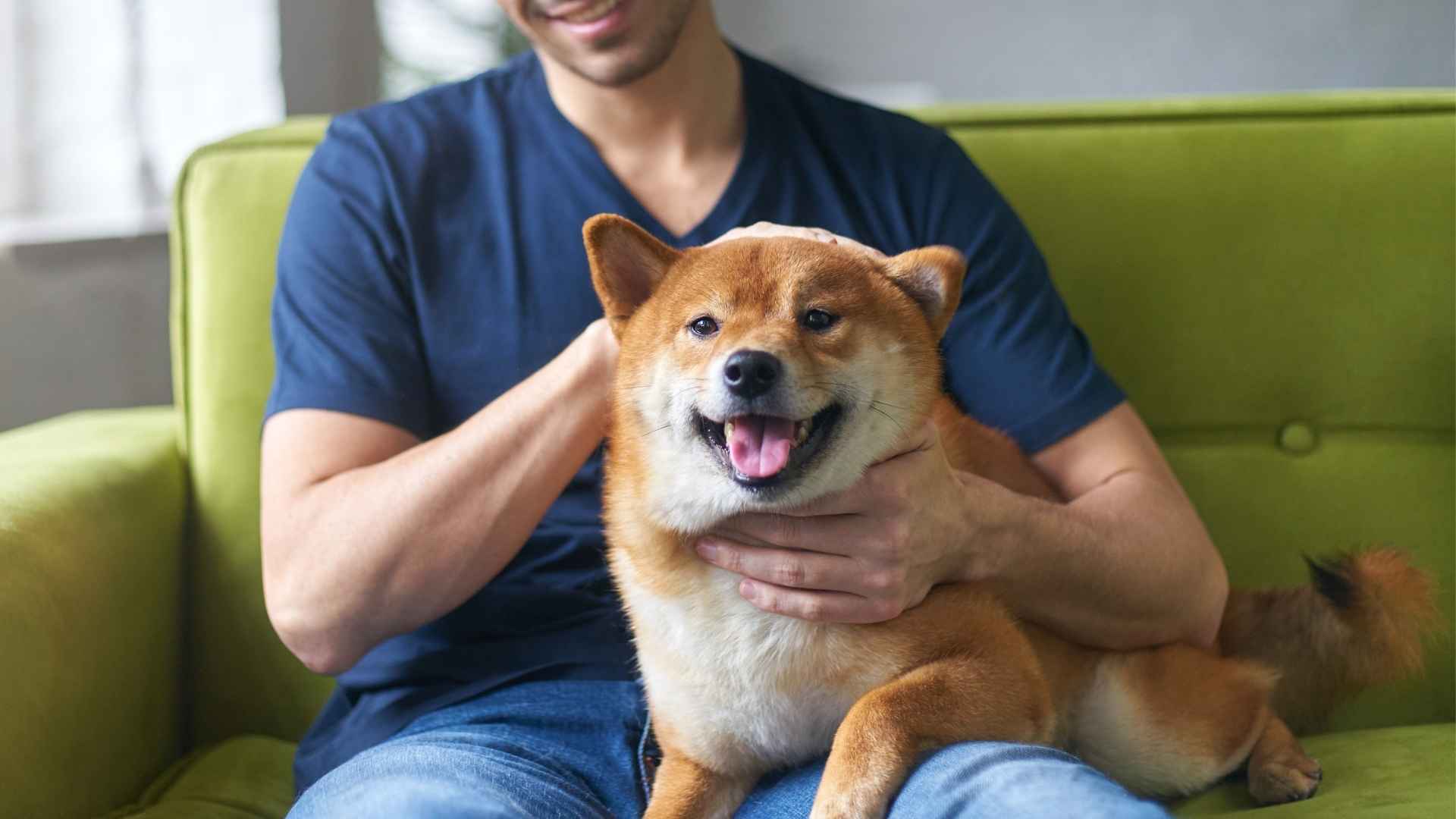 7 Dog Breeds Who Prefer Adults Over Kids