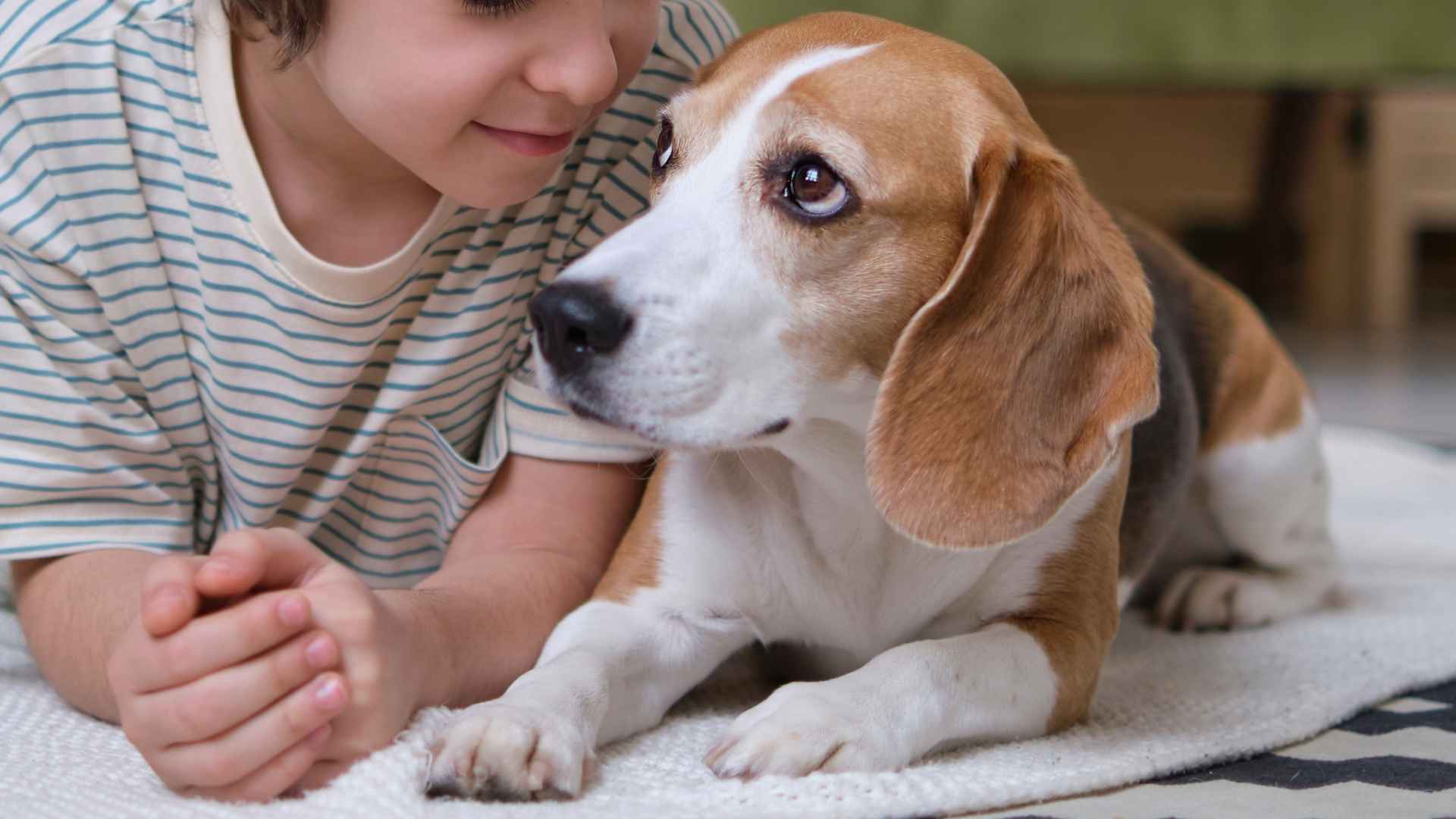 7 Dog Breeds that Calm Down Anxious Kids: The Emotionally Available Canines