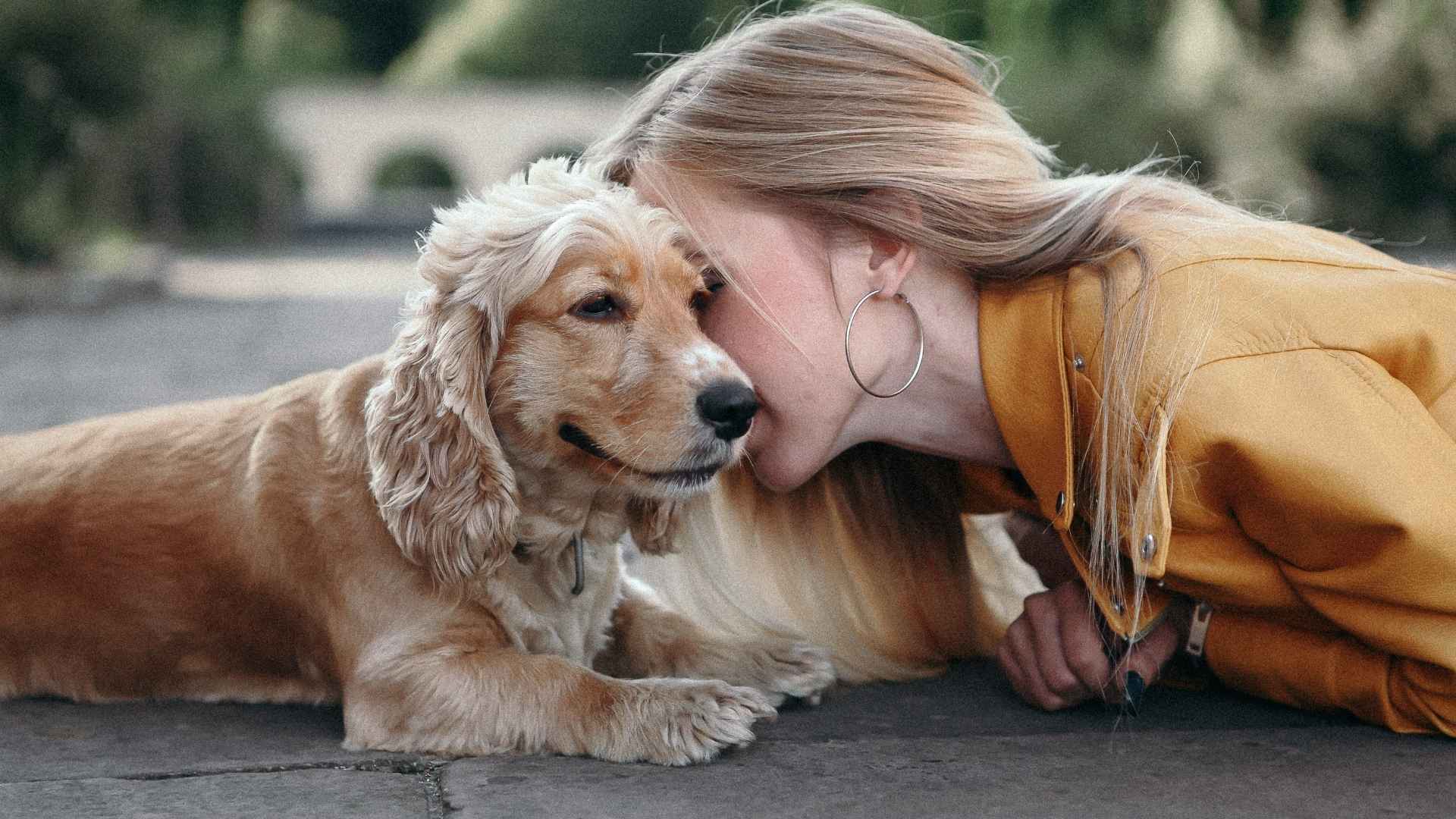 7 Emotionally Intelligent Dog Breeds That Truly Understand You