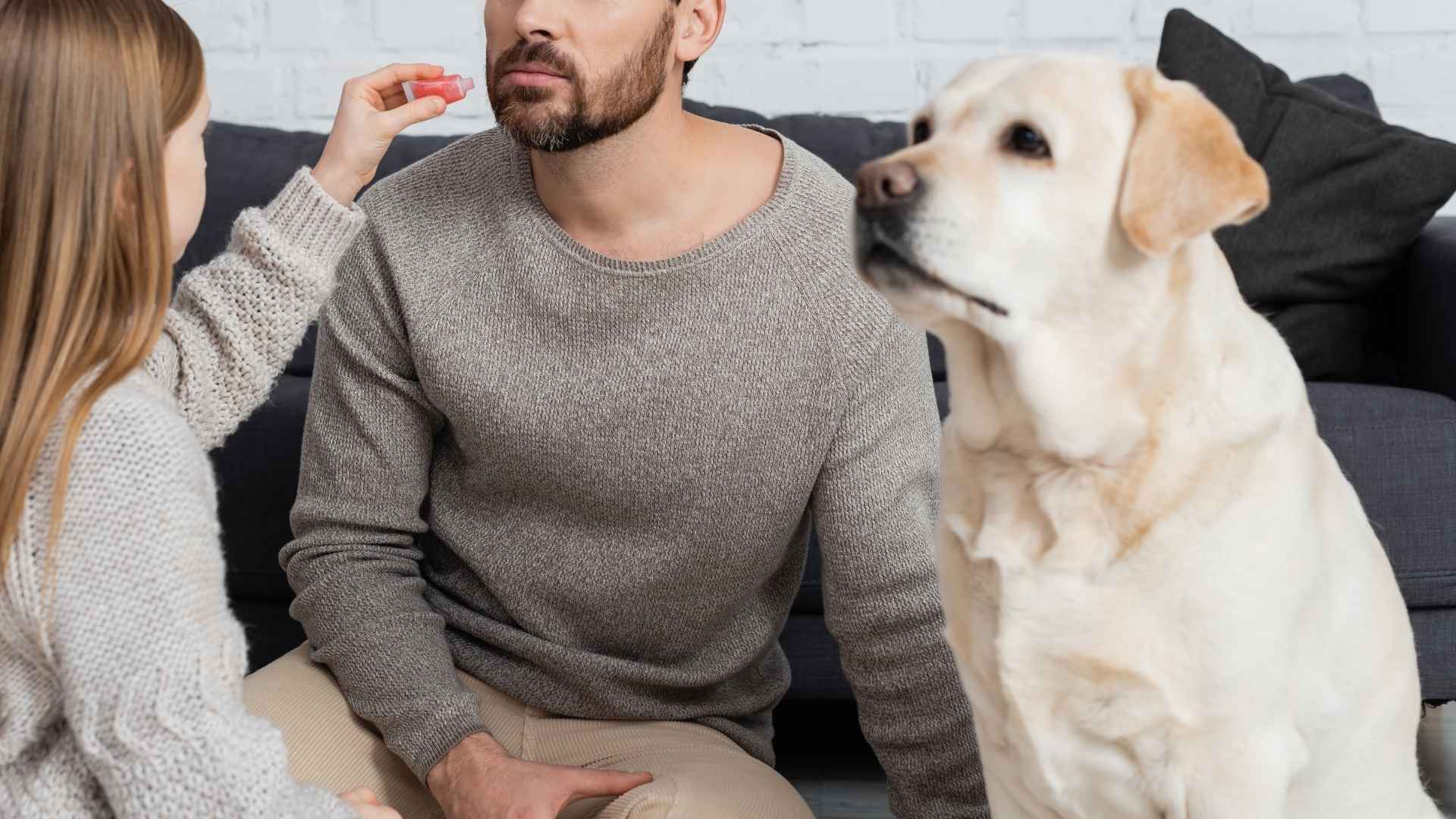 7 Jealous Dog Breeds That Hate Sharing You