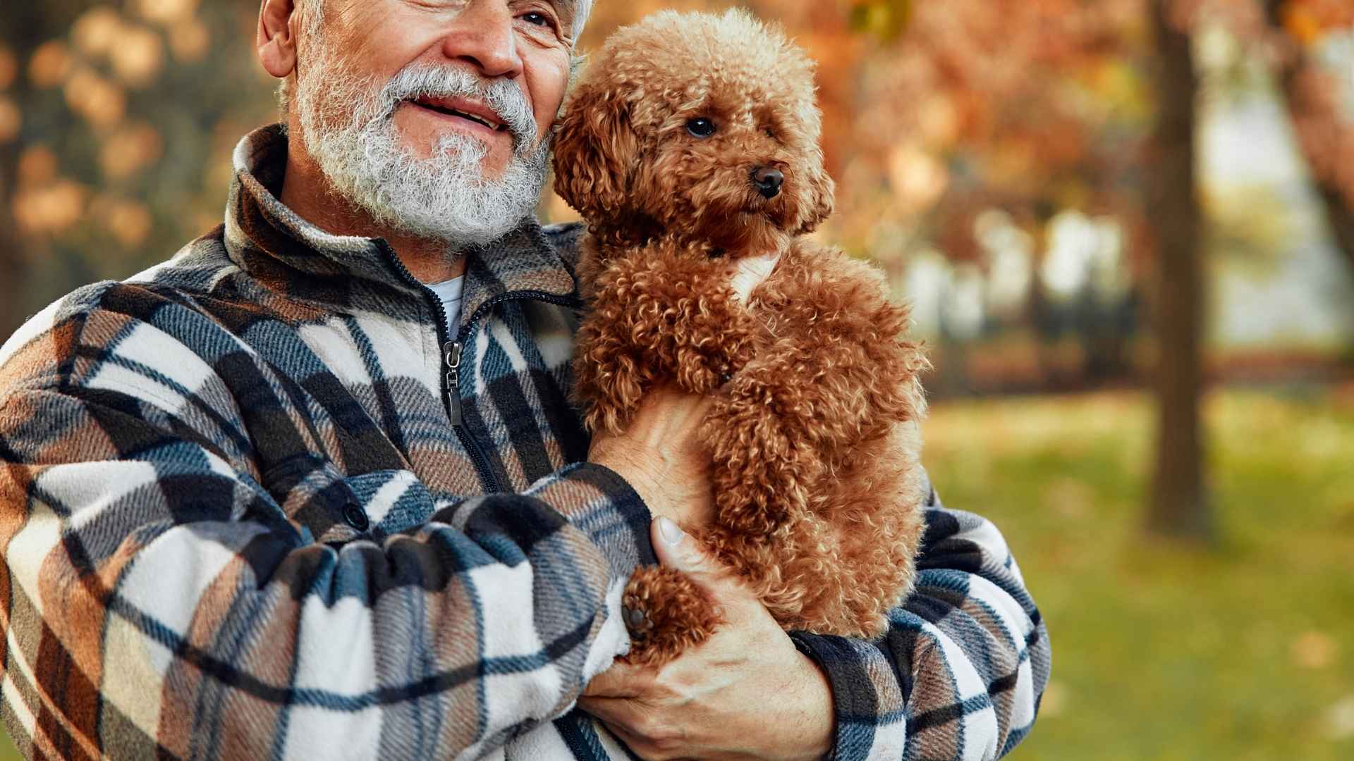 7 Teacup Dog Breeds For Seniors: Perfect for Golden Years