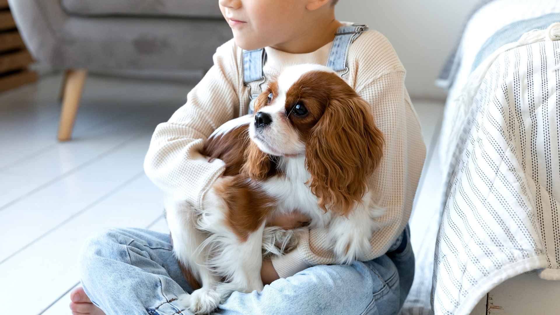 7 Therapy Dog Breeds For Kids That Help Them Feel Safe and Loved